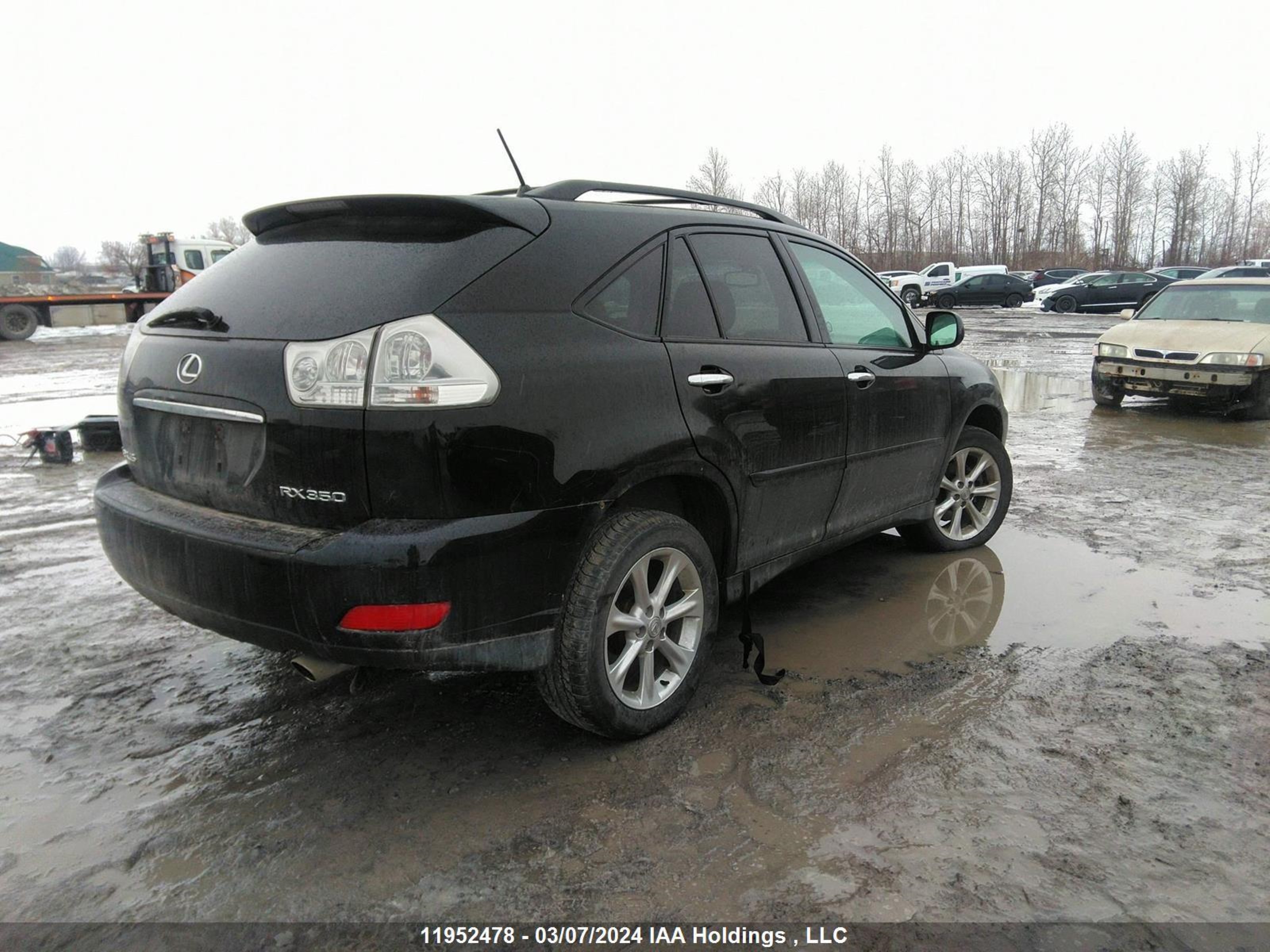 Photo 3 VIN: 2T2HK31U19C106164 - LEXUS RX 