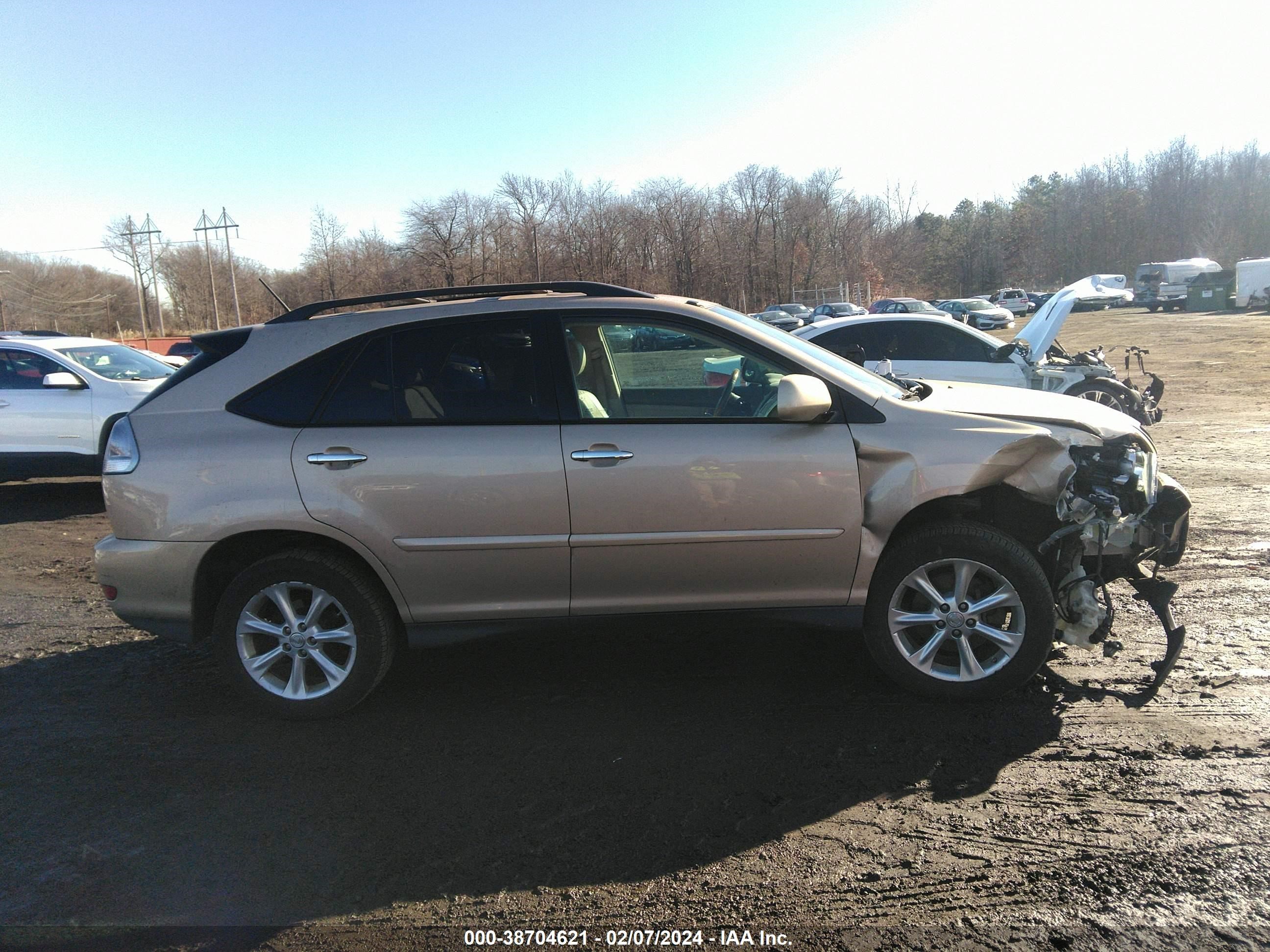 Photo 12 VIN: 2T2HK31U39C132409 - LEXUS RX 