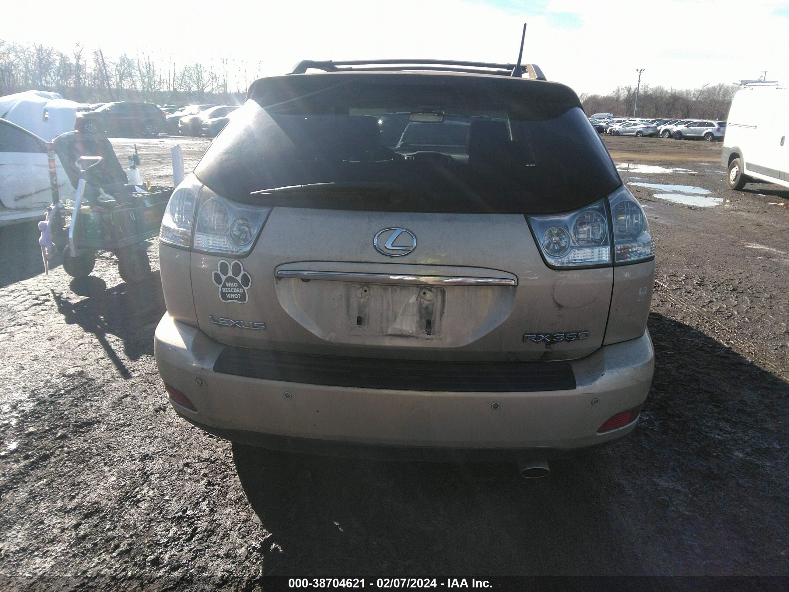 Photo 15 VIN: 2T2HK31U39C132409 - LEXUS RX 