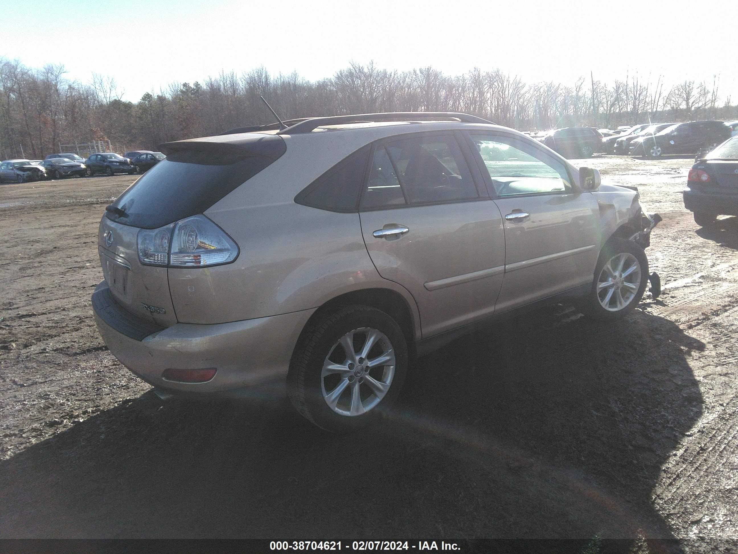 Photo 3 VIN: 2T2HK31U39C132409 - LEXUS RX 