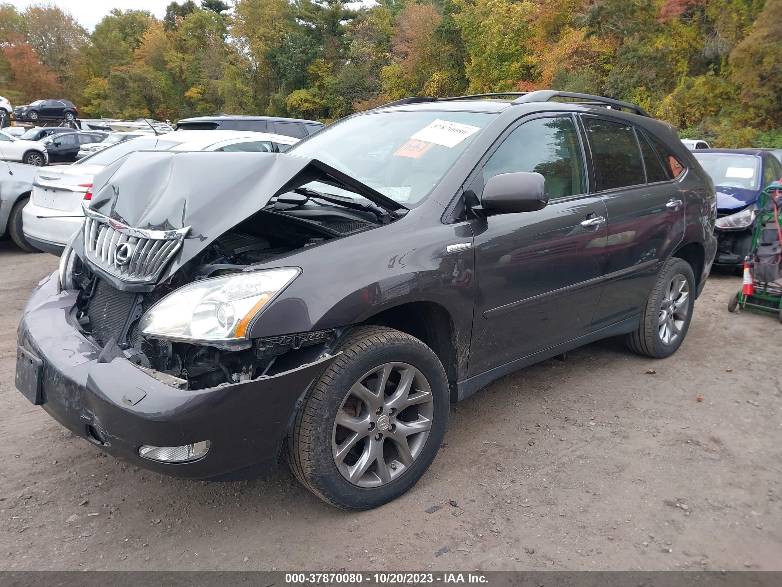 Photo 1 VIN: 2T2HK31U49C106160 - LEXUS RX 