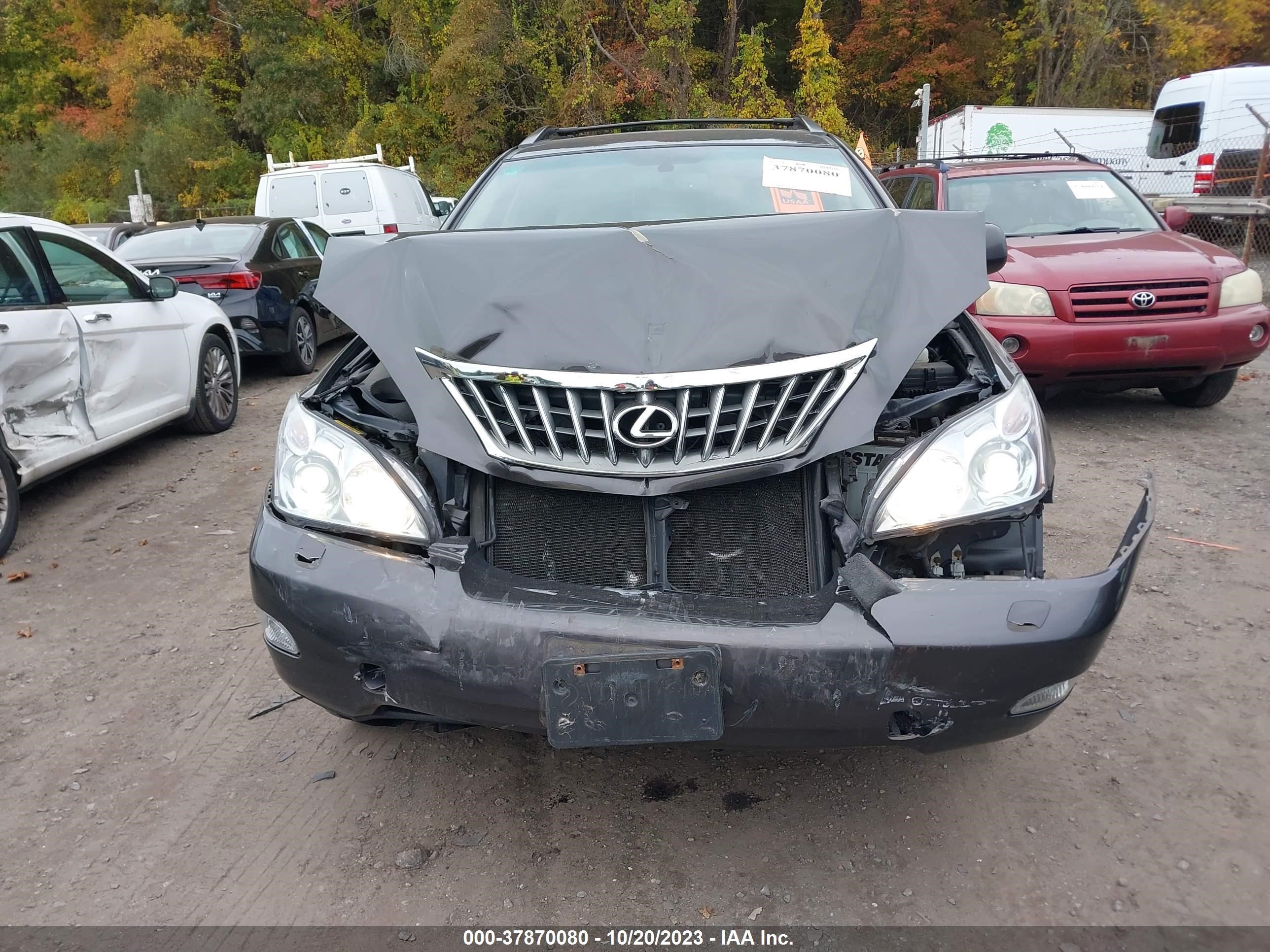 Photo 11 VIN: 2T2HK31U49C106160 - LEXUS RX 