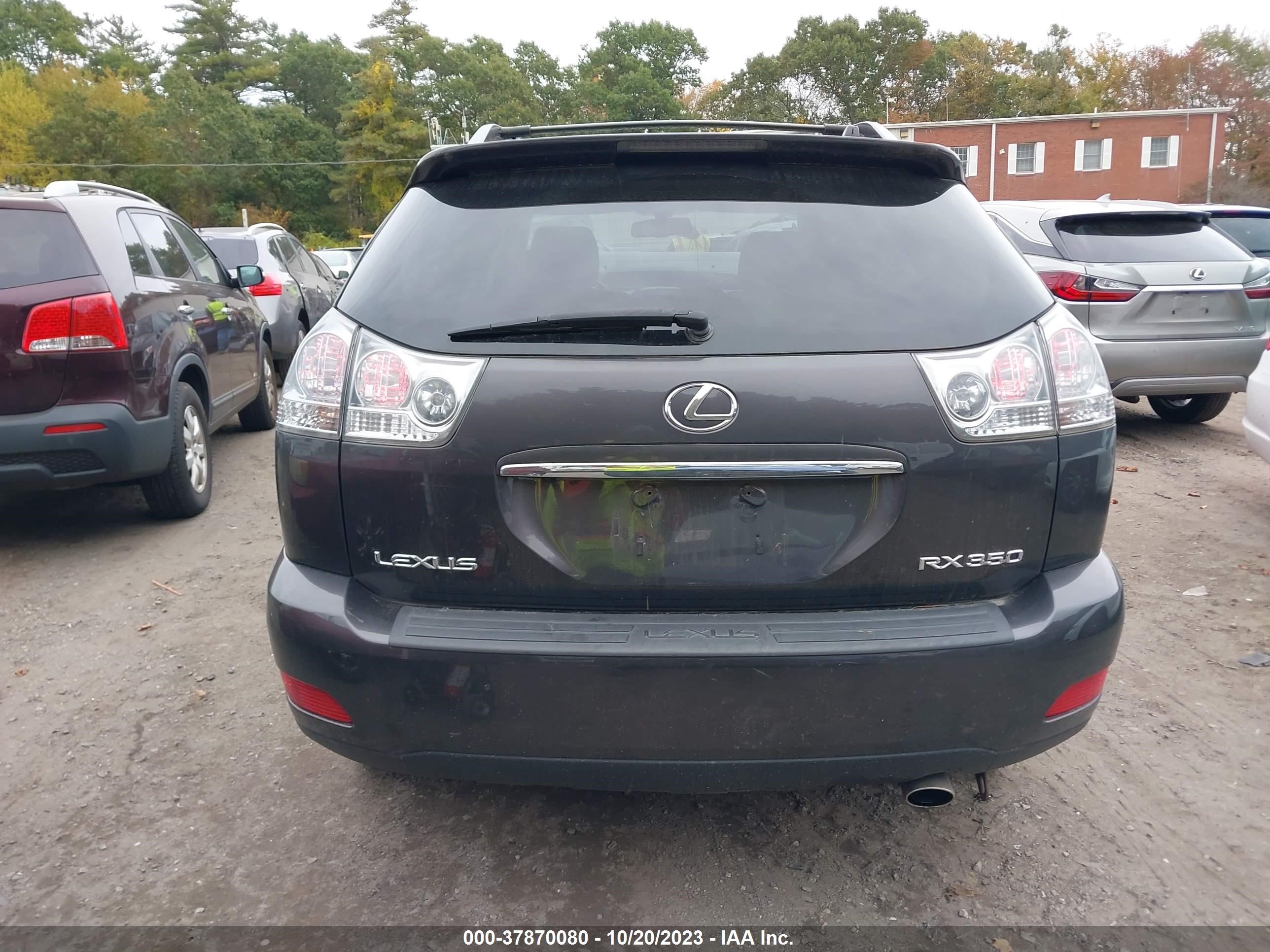 Photo 15 VIN: 2T2HK31U49C106160 - LEXUS RX 