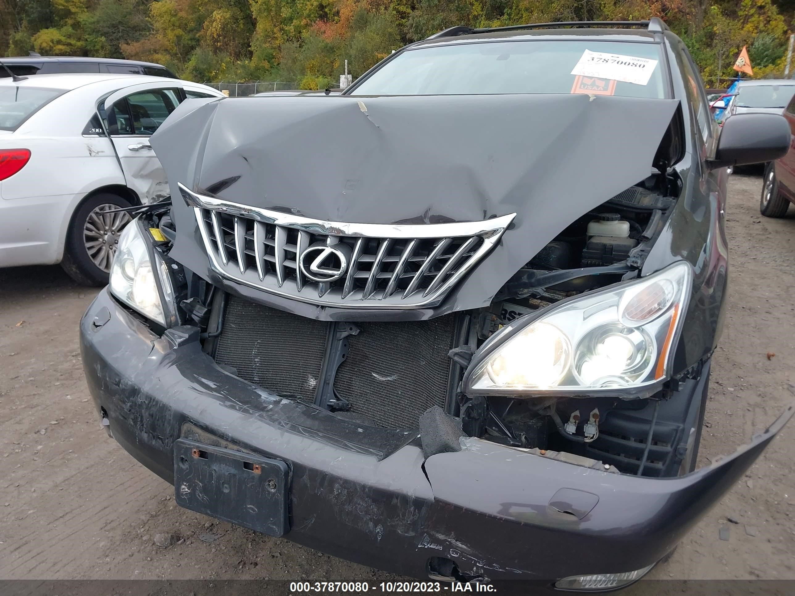 Photo 5 VIN: 2T2HK31U49C106160 - LEXUS RX 