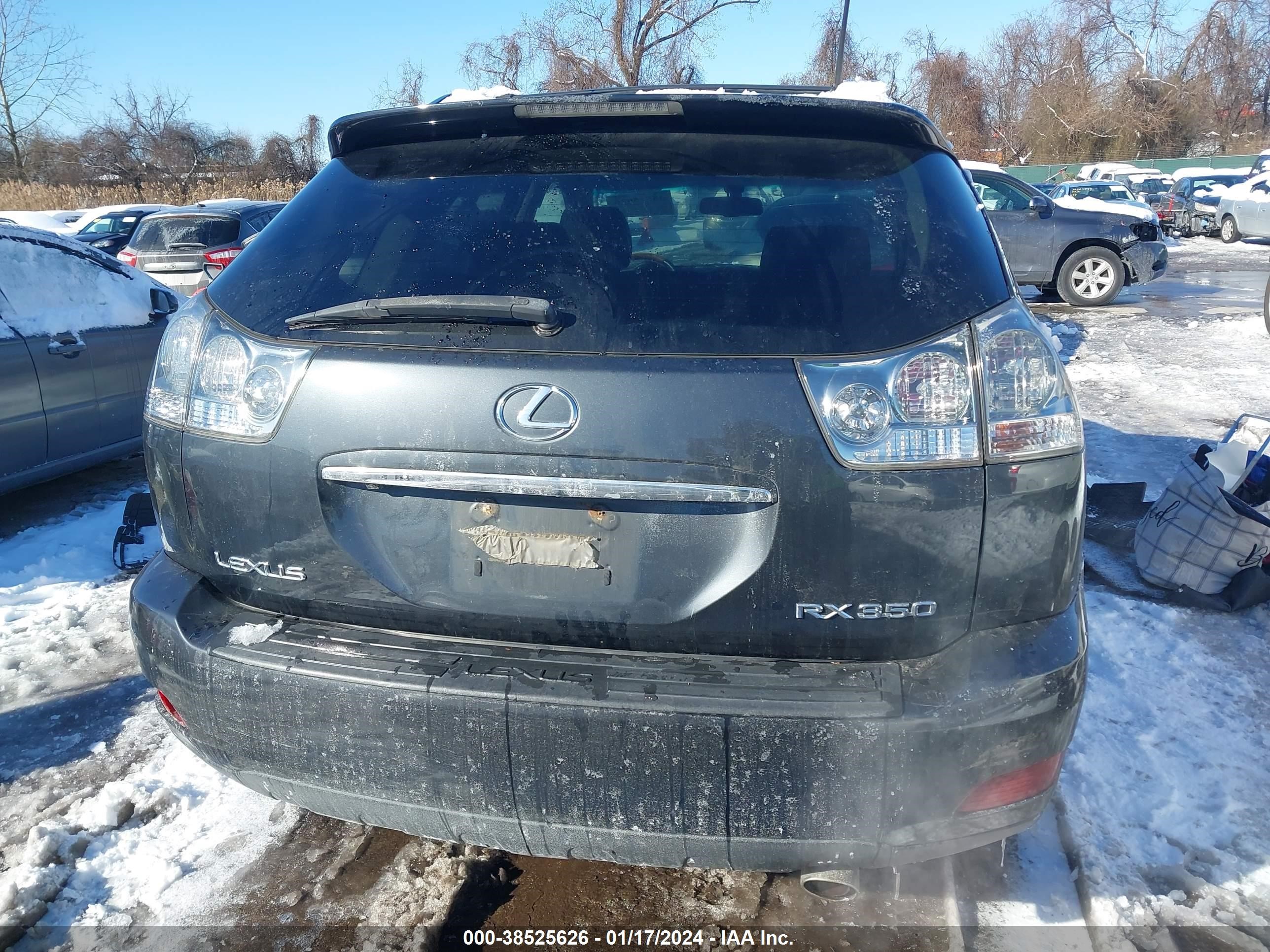 Photo 16 VIN: 2T2HK31U69C133070 - LEXUS RX 