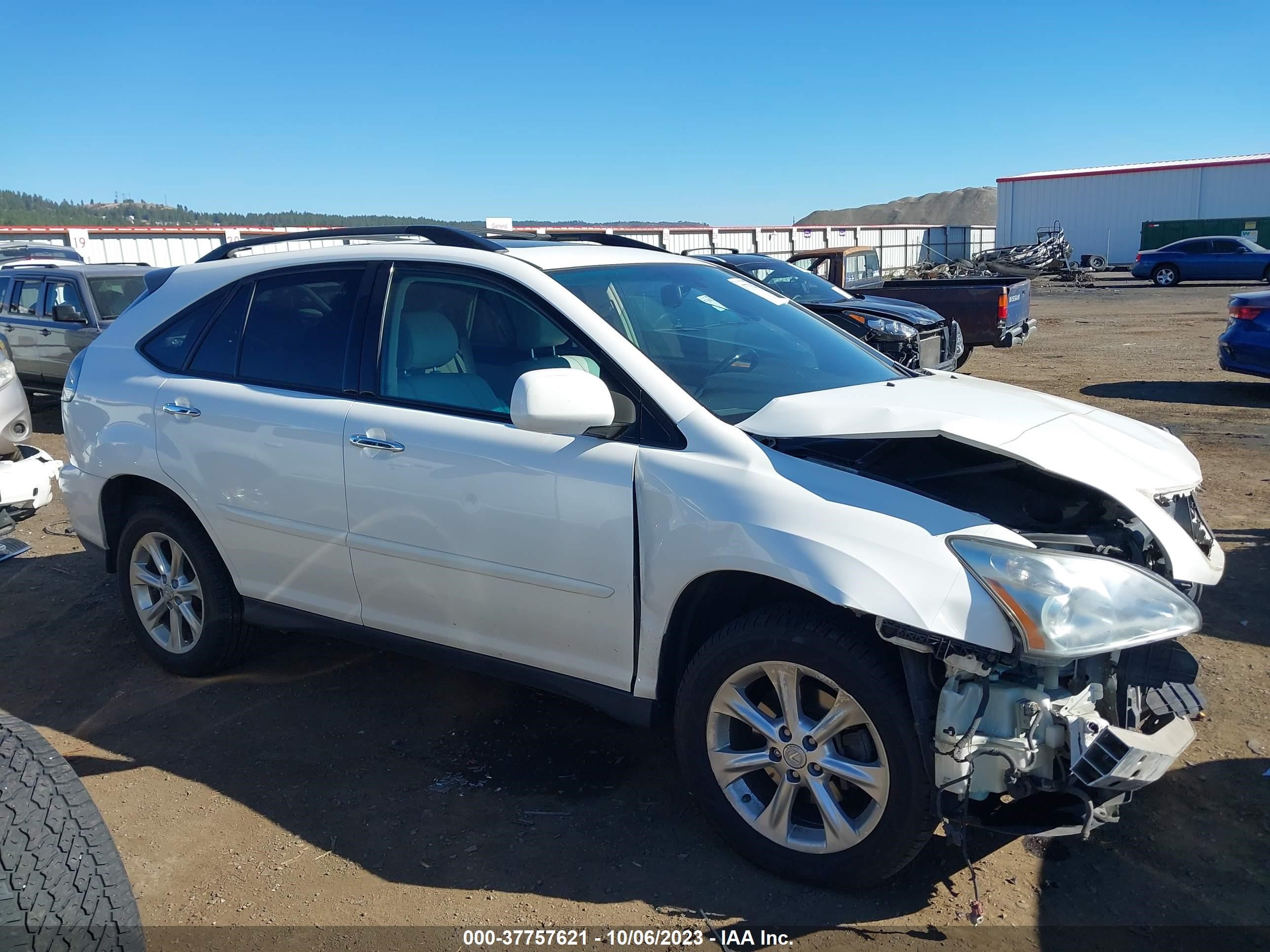 Photo 13 VIN: 2T2HK31U79C126564 - LEXUS RX 