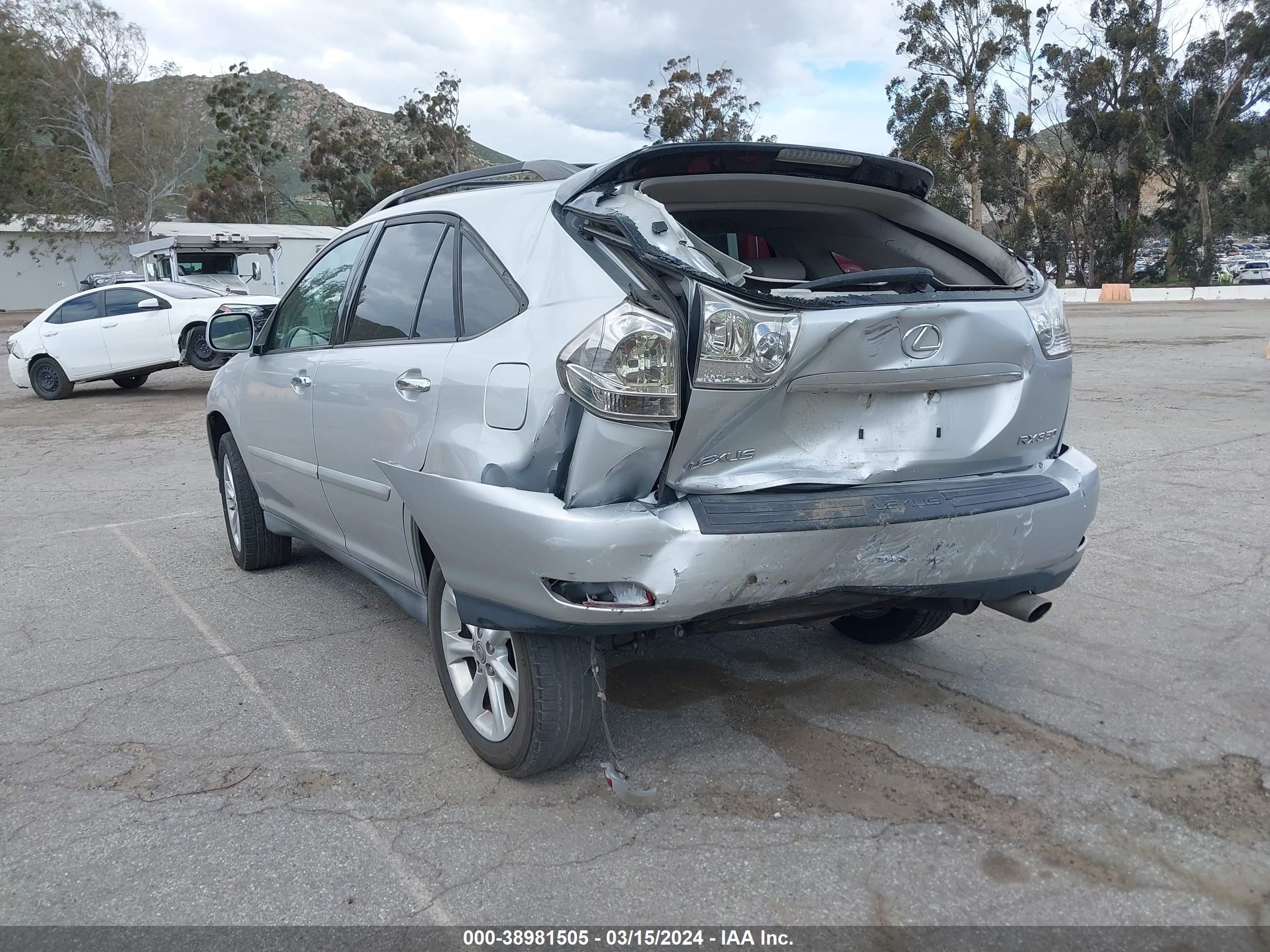 Photo 2 VIN: 2T2HK31U99C096841 - LEXUS RX 