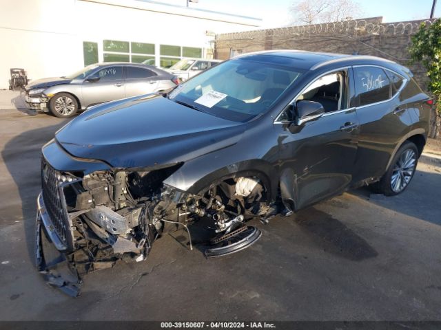 Photo 1 VIN: 2T2HKCEZ6NC008022 - LEXUS NX 