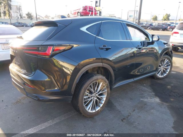 Photo 3 VIN: 2T2HKCEZ6NC008022 - LEXUS NX 