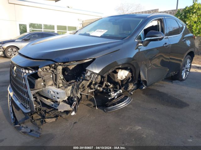 Photo 5 VIN: 2T2HKCEZ6NC008022 - LEXUS NX 