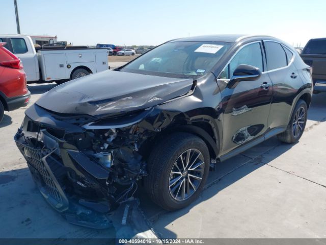 Photo 1 VIN: 2T2HKCEZ7RC025689 - LEXUS NX 