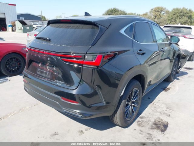 Photo 3 VIN: 2T2HKCEZ7RC025689 - LEXUS NX 