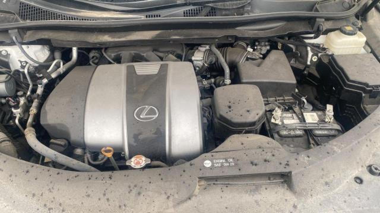 Photo 7 VIN: 2T2HZMAA5LC170285 - LEXUS RX 