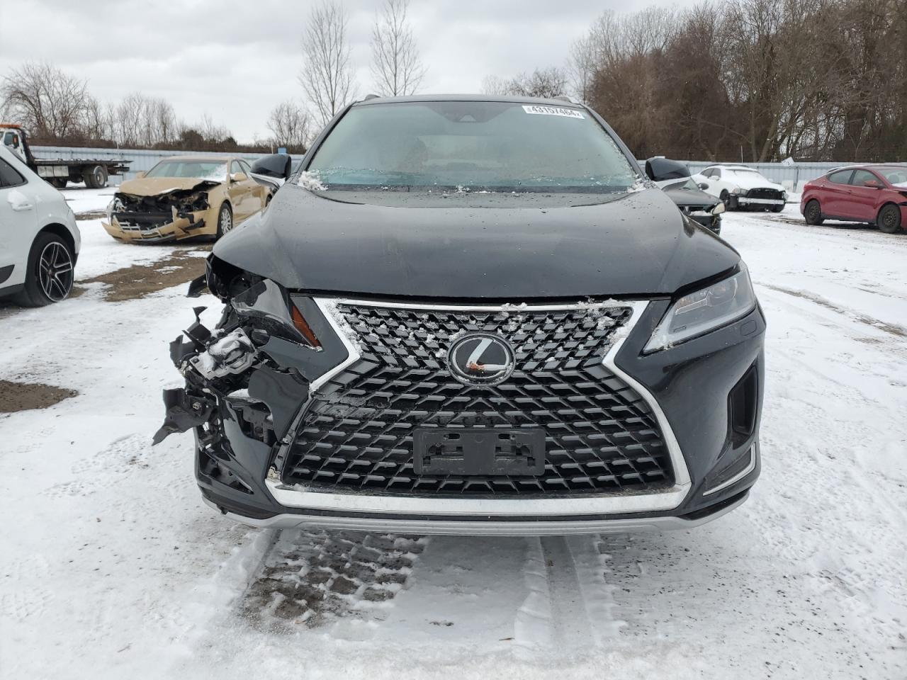 Photo 4 VIN: 2T2HZMDA0LC254848 - LEXUS RX 