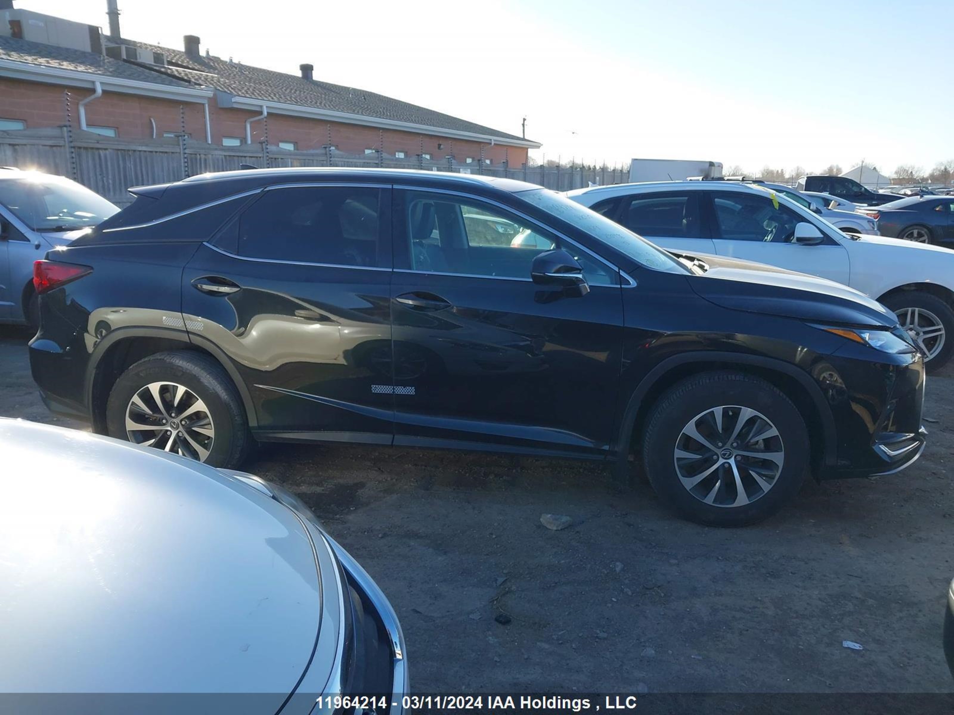 Photo 11 VIN: 2T2HZMDA2MC290476 - LEXUS RX 