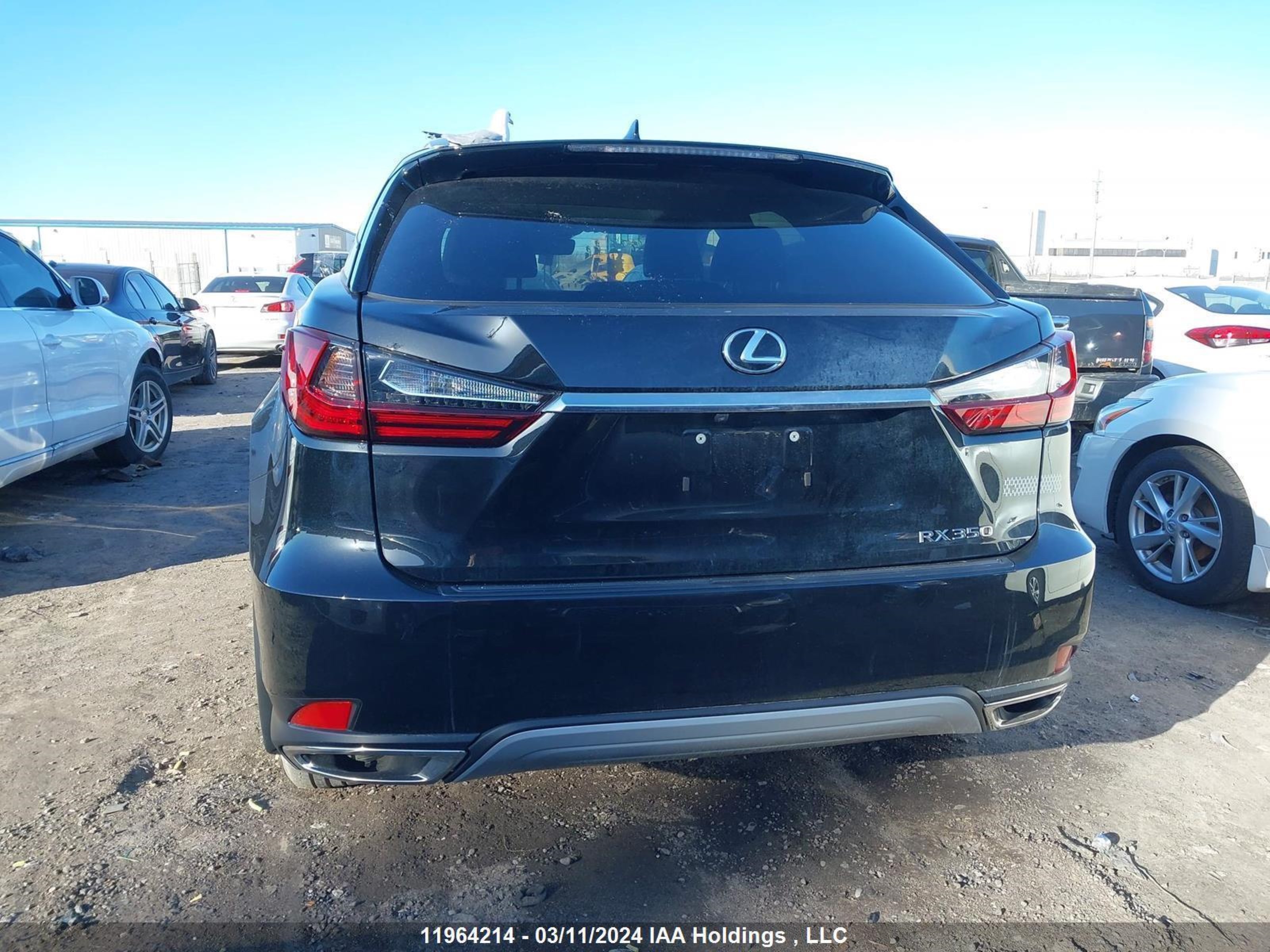 Photo 14 VIN: 2T2HZMDA2MC290476 - LEXUS RX 