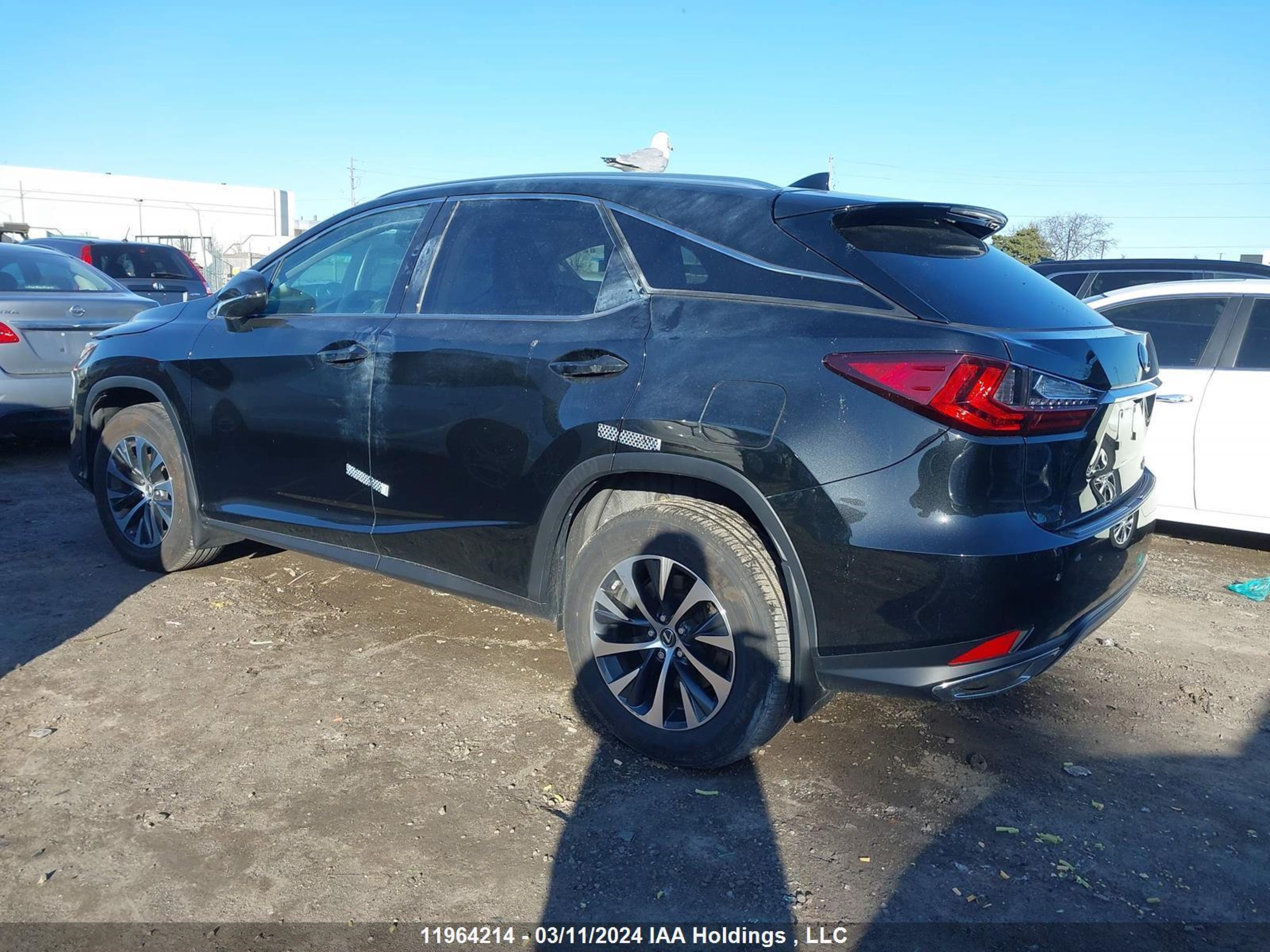 Photo 2 VIN: 2T2HZMDA2MC290476 - LEXUS RX 