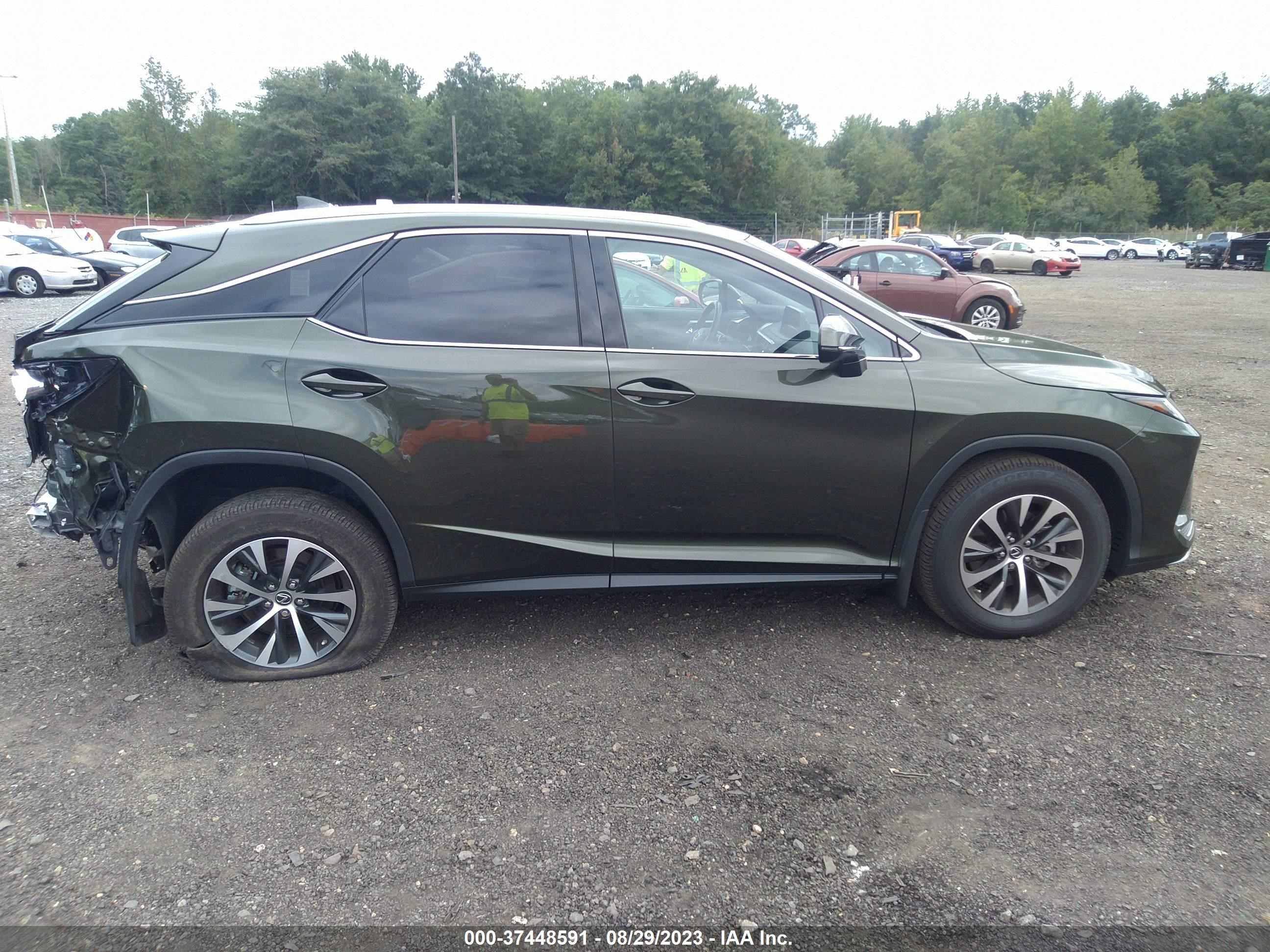 Photo 12 VIN: 2T2HZMDA5NC328770 - LEXUS RX 