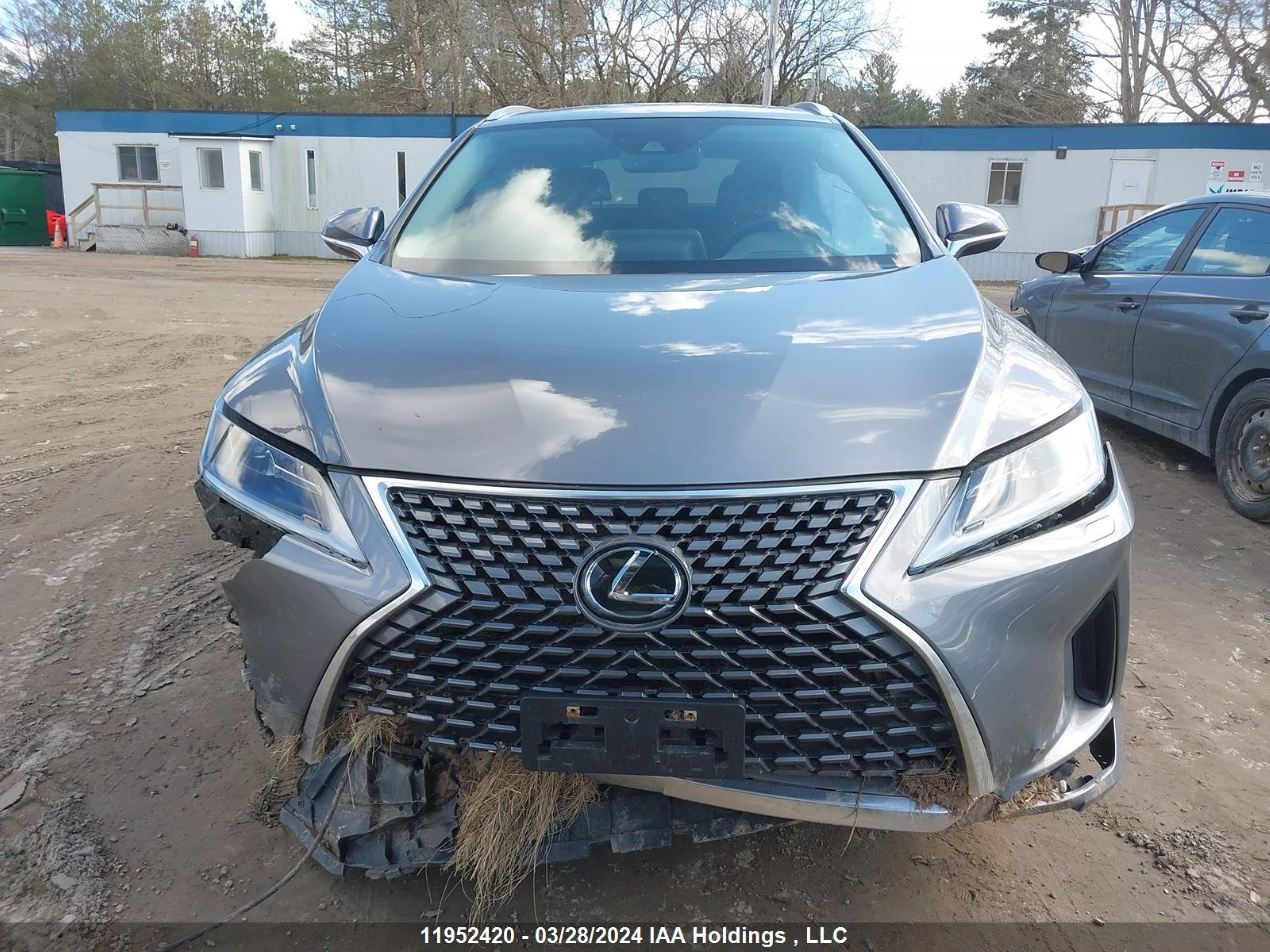 Photo 12 VIN: 2T2HZMDA8NC323059 - LEXUS RX 