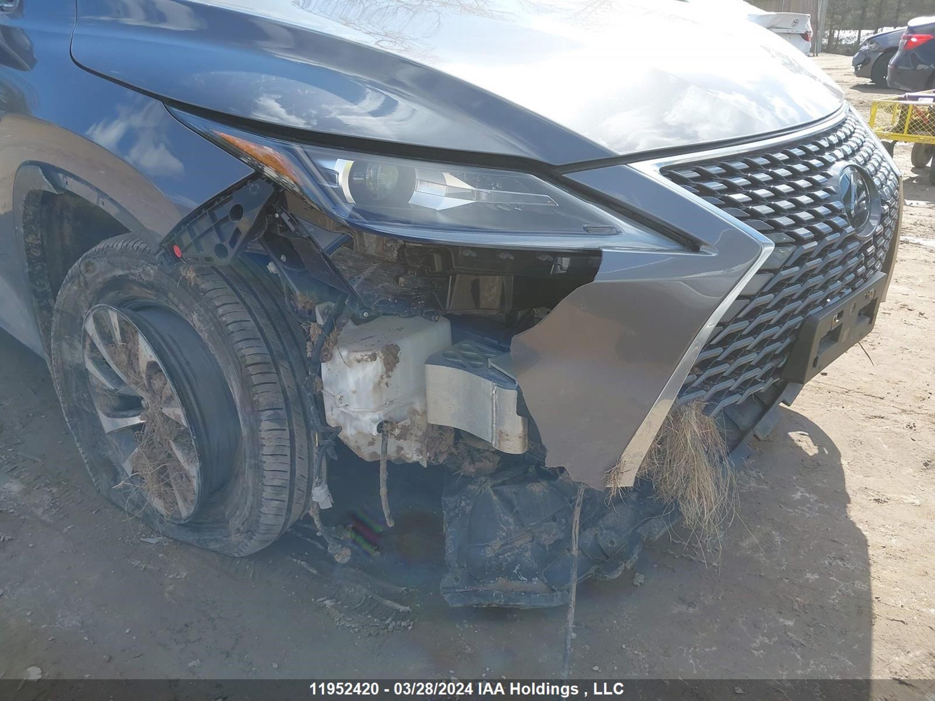 Photo 5 VIN: 2T2HZMDA8NC323059 - LEXUS RX 