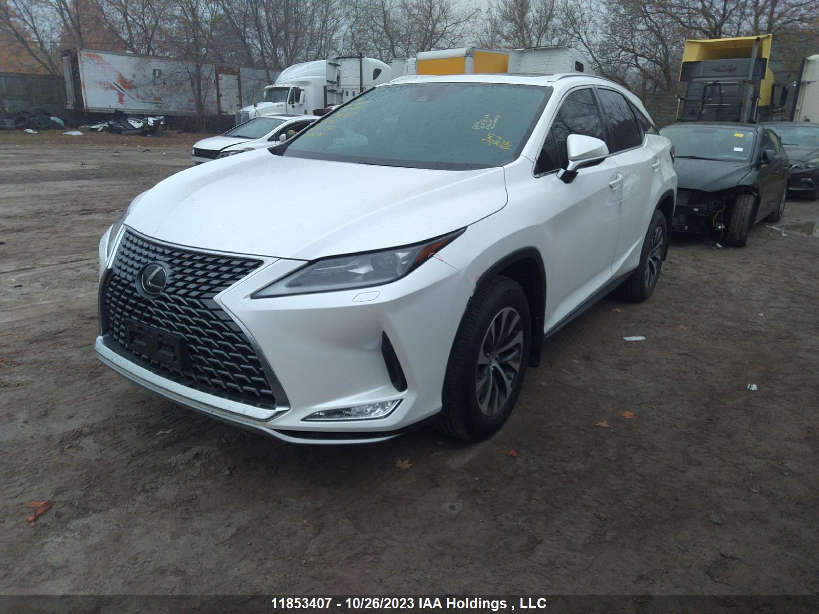 Photo 1 VIN: 2T2HZMDA9LC267906 - LEXUS RX 