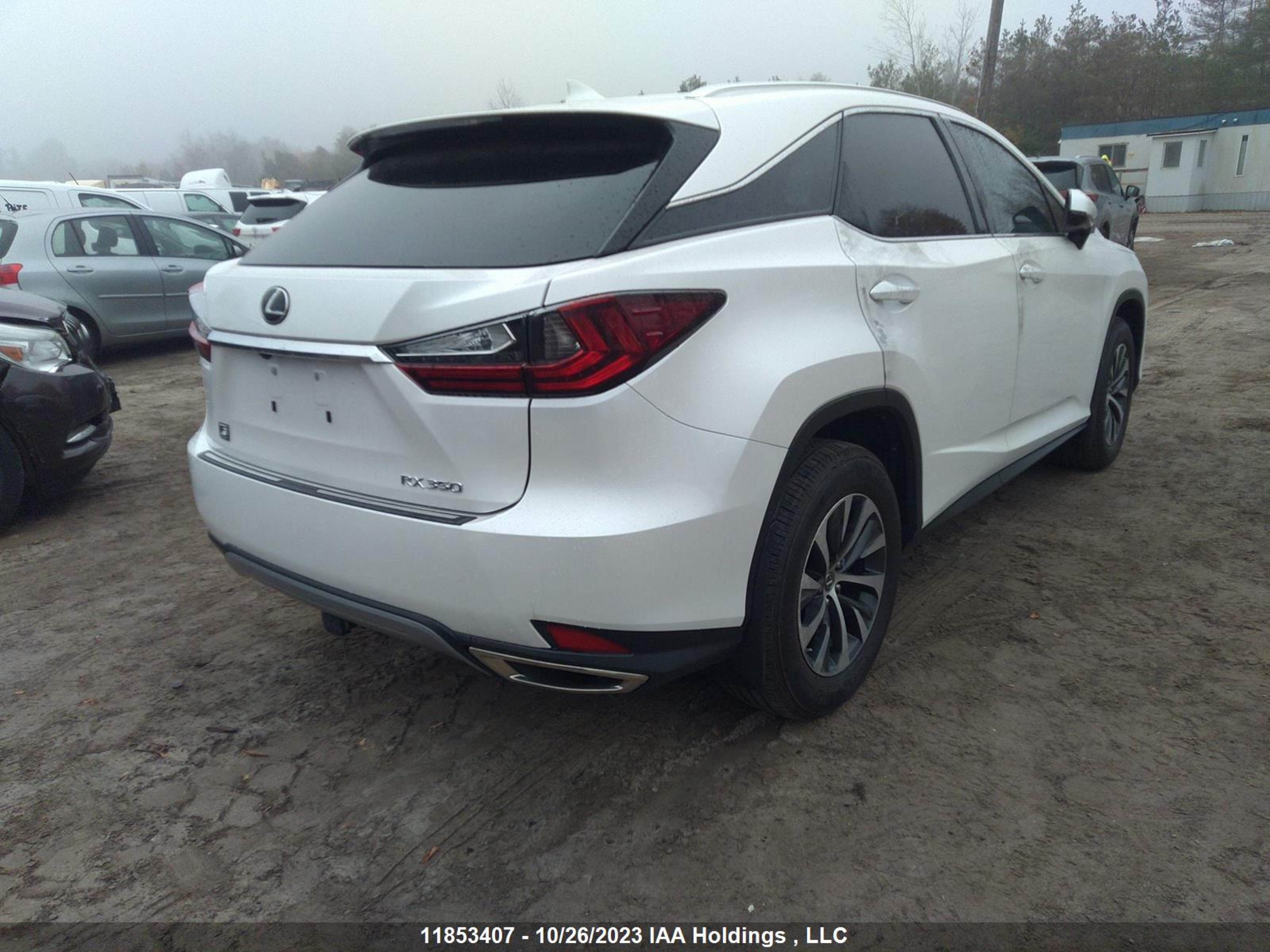 Photo 3 VIN: 2T2HZMDA9LC267906 - LEXUS RX 