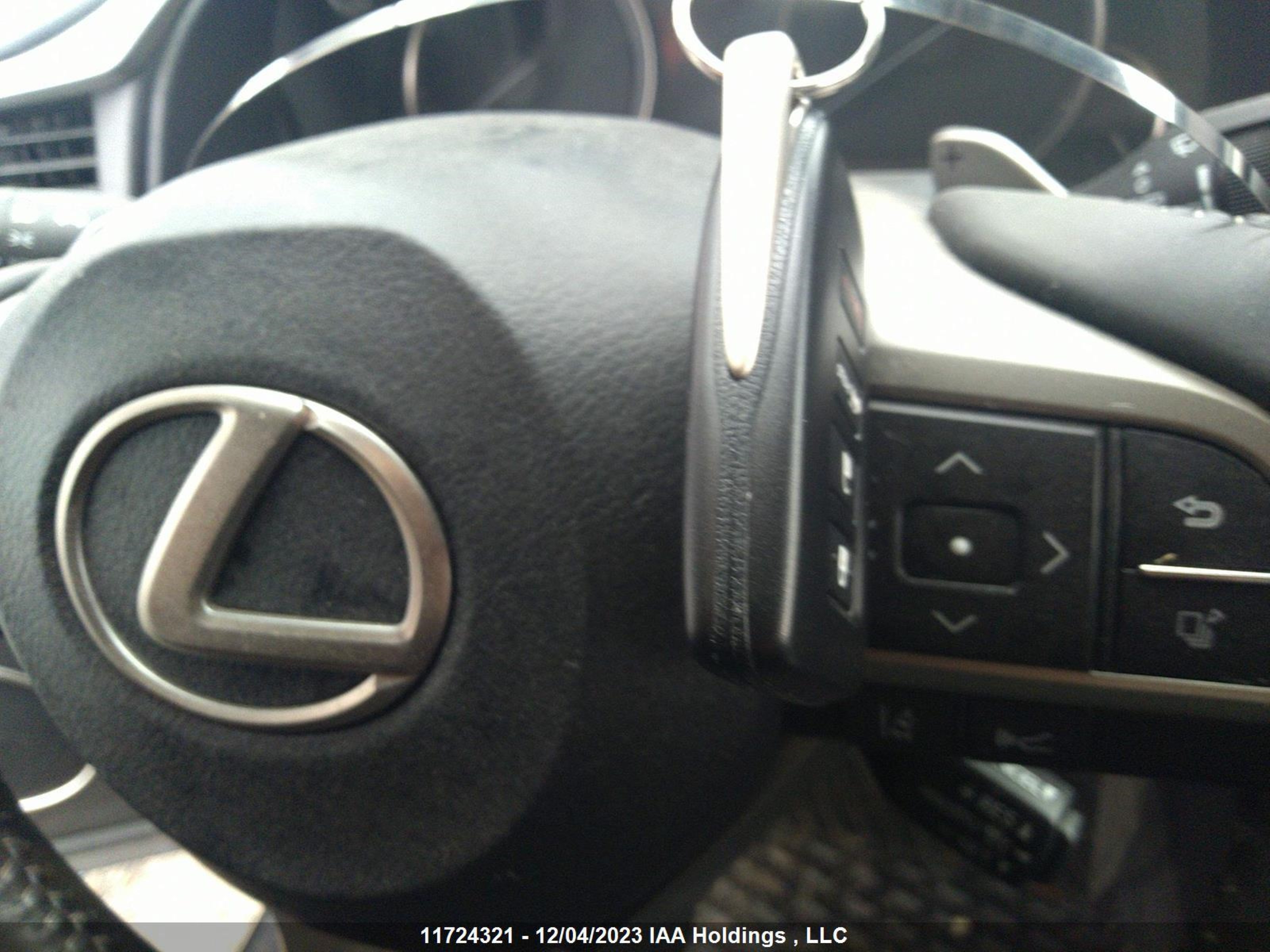 Photo 10 VIN: 2T2HZMDA9MC274999 - LEXUS RX 