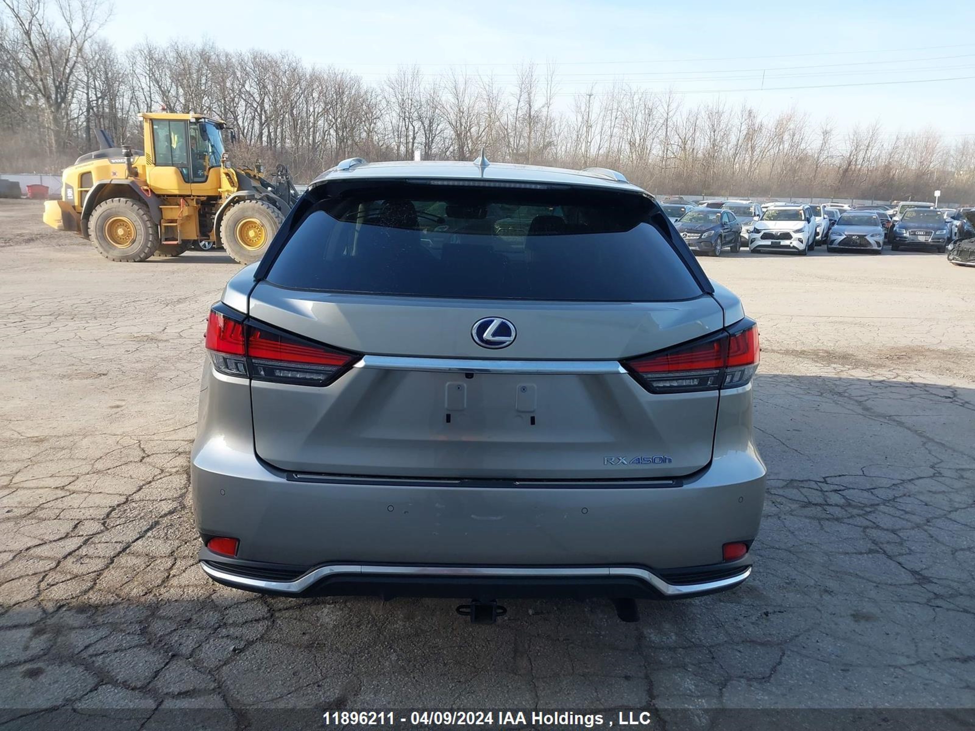 Photo 14 VIN: 2T2JGMDA4MC069274 - LEXUS RX 