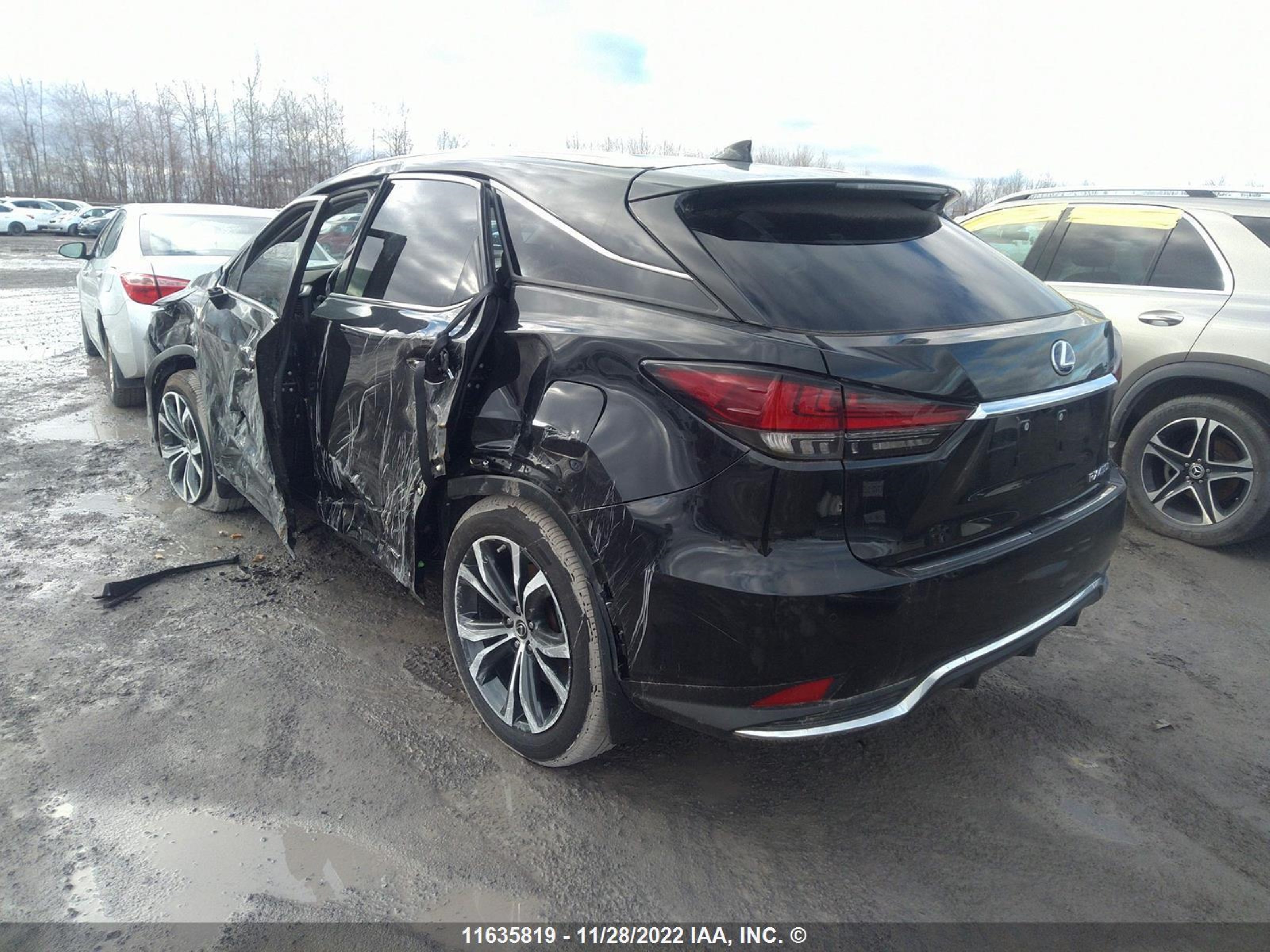 Photo 2 VIN: 2T2JGMDA9LC053800 - LEXUS RX 