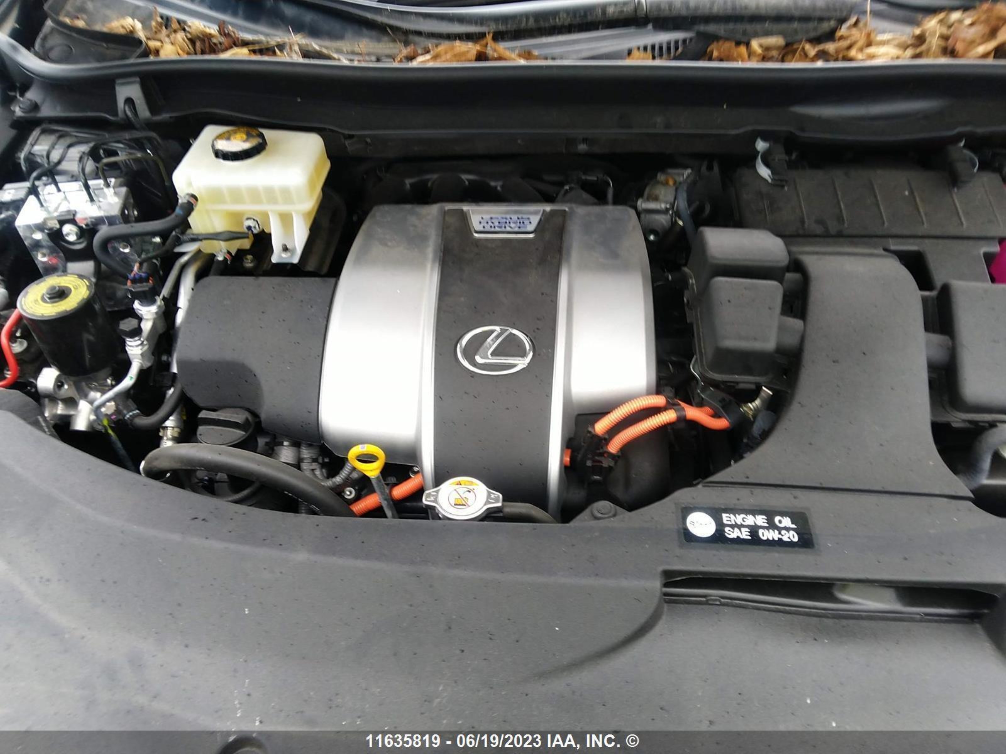 Photo 9 VIN: 2T2JGMDA9LC053800 - LEXUS RX 