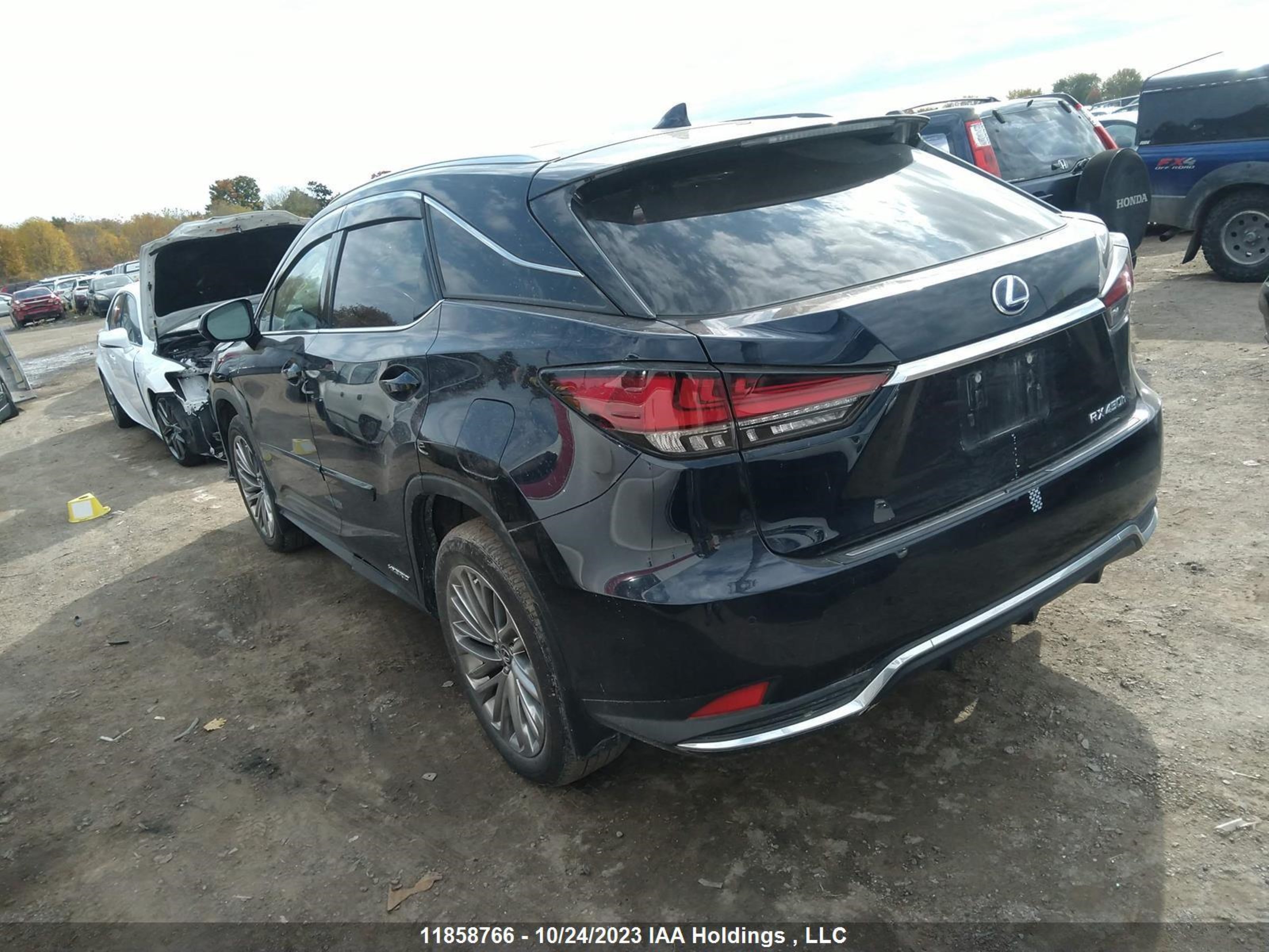 Photo 2 VIN: 2T2JGMDAXLC056446 - LEXUS RX 