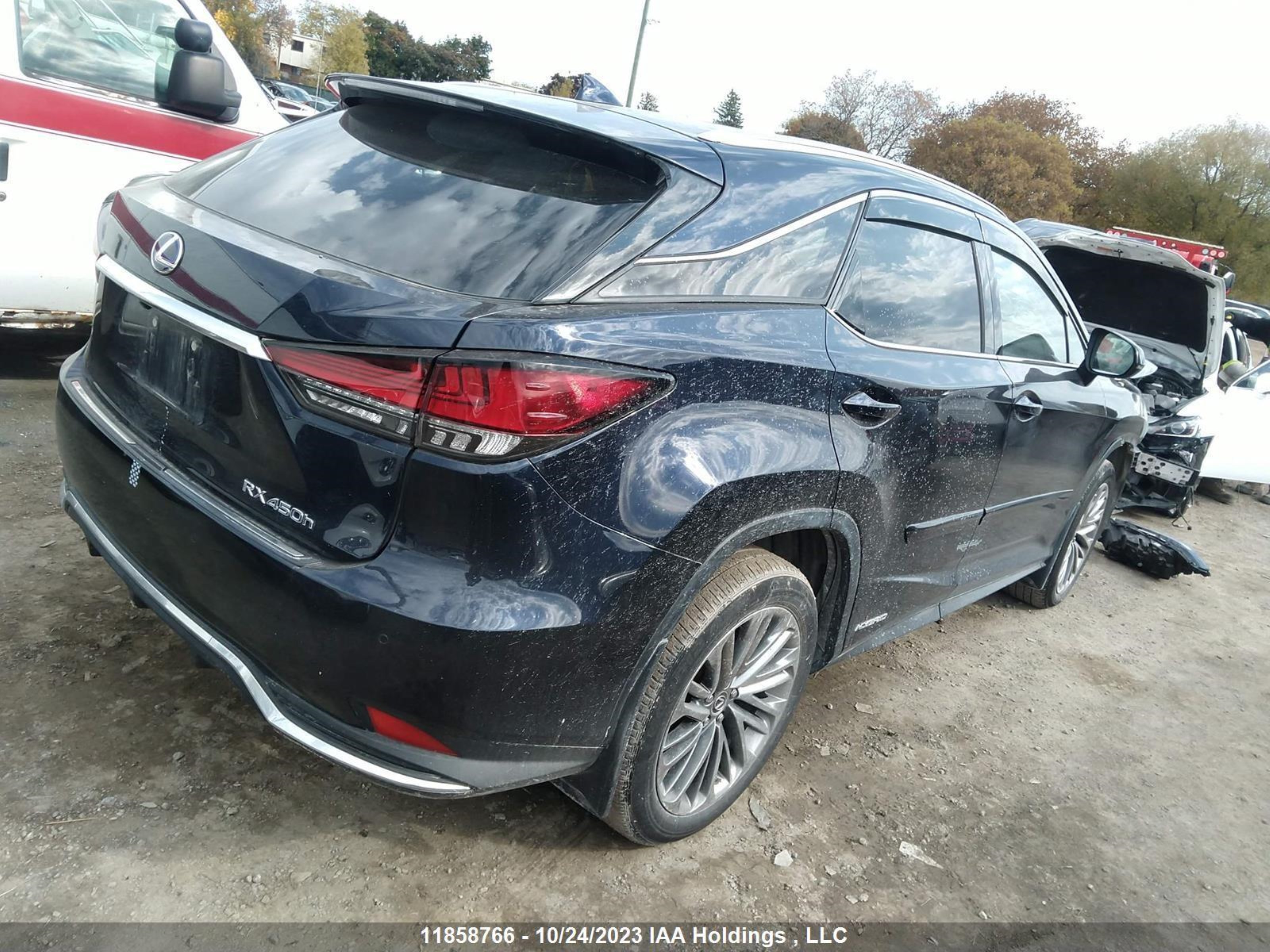 Photo 3 VIN: 2T2JGMDAXLC056446 - LEXUS RX 