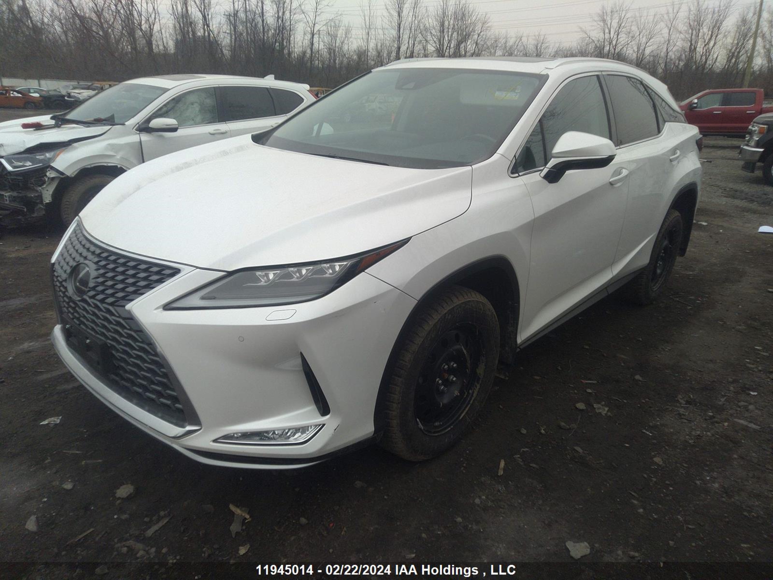 Photo 1 VIN: 2T2JZMDA3LC241156 - LEXUS RX 