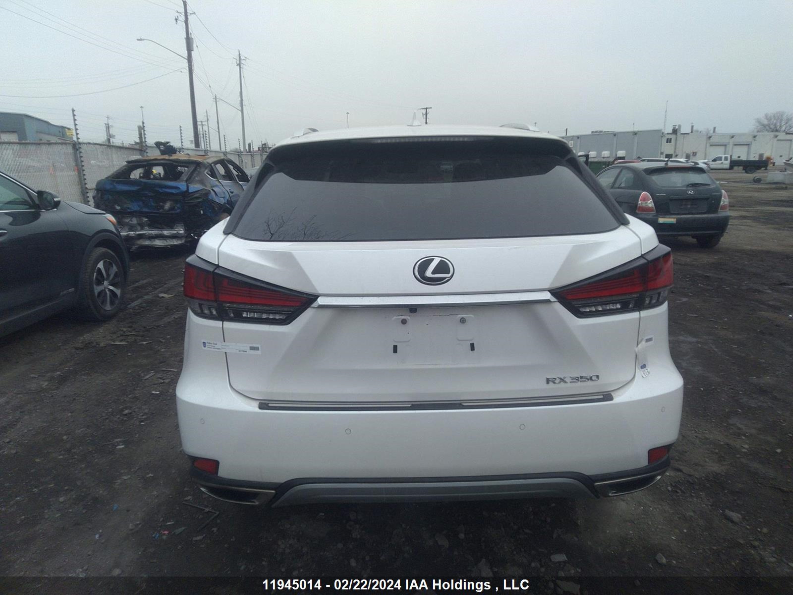 Photo 15 VIN: 2T2JZMDA3LC241156 - LEXUS RX 