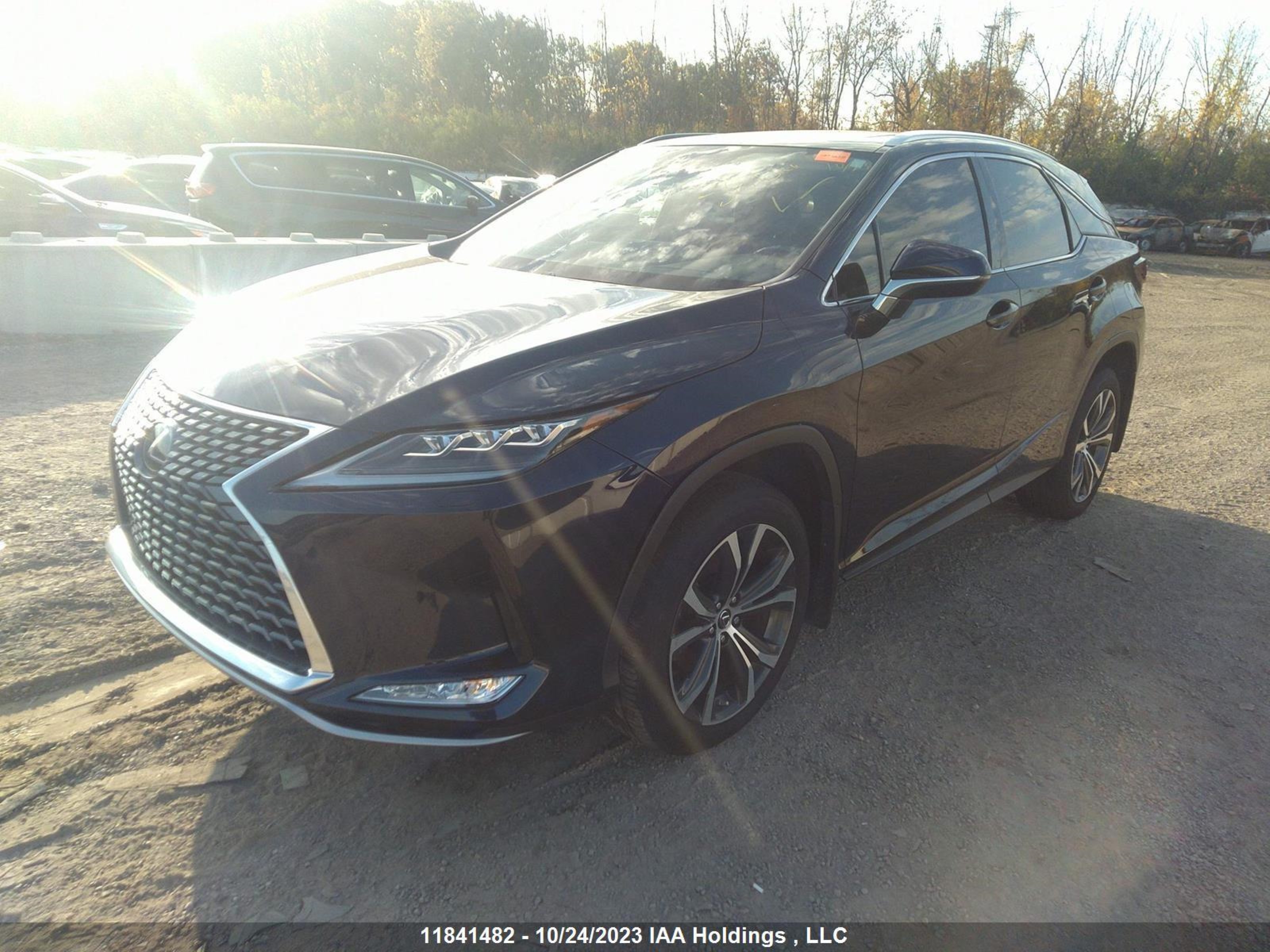 Photo 1 VIN: 2T2JZMDA7MC286439 - LEXUS RX 