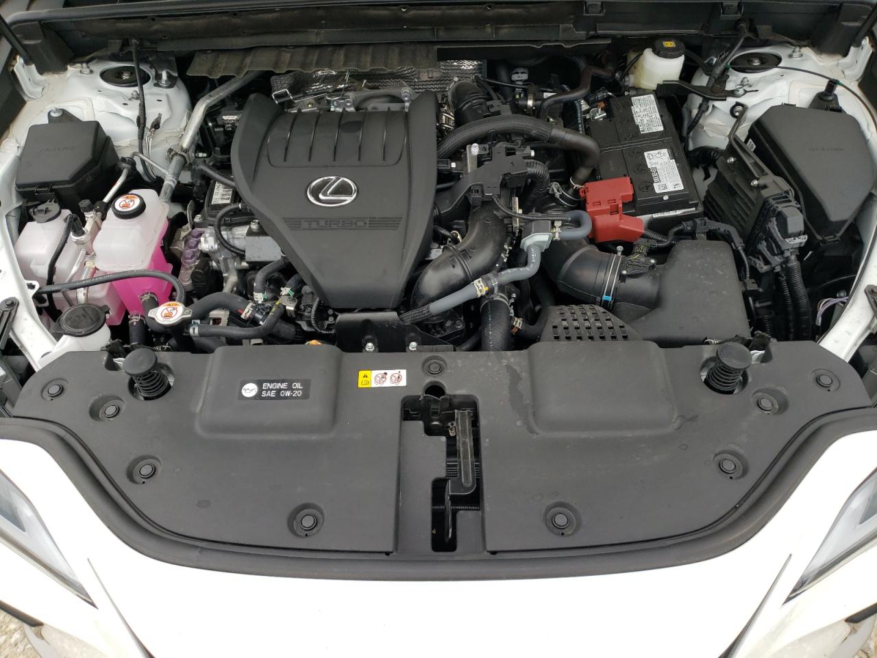 Photo 10 VIN: 2T2KGCEZ4RC049536 - LEXUS NULL 