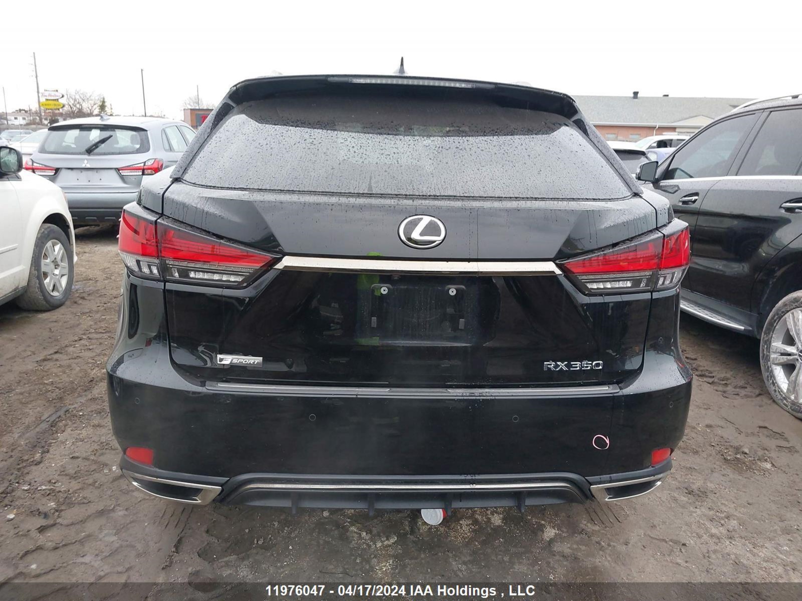 Photo 15 VIN: 2T2YZMDA3LC213274 - LEXUS RX 