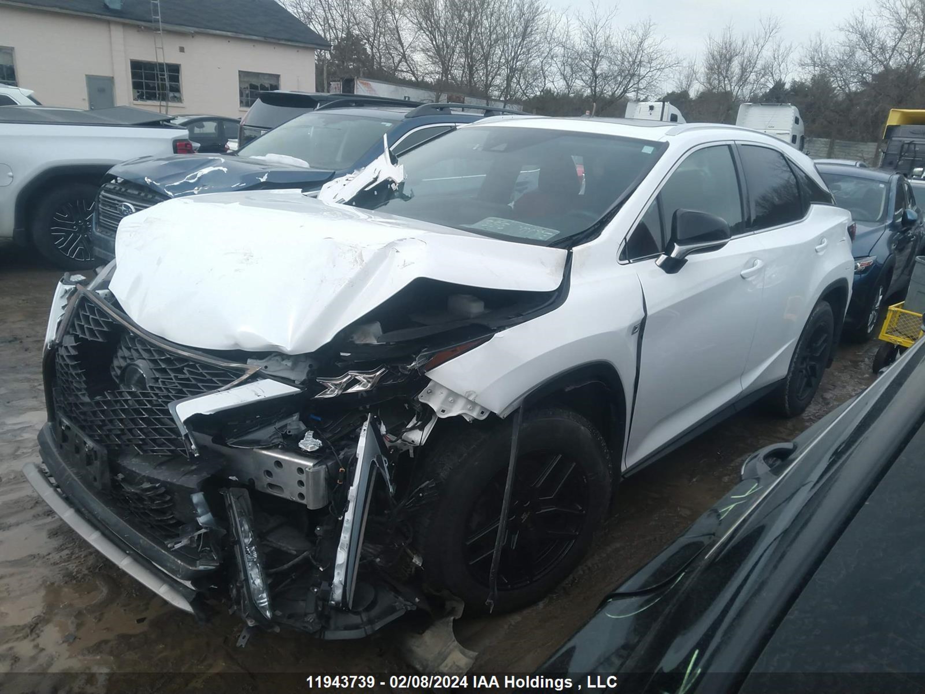 Photo 1 VIN: 2T2YZMDA3LC256111 - LEXUS RX 