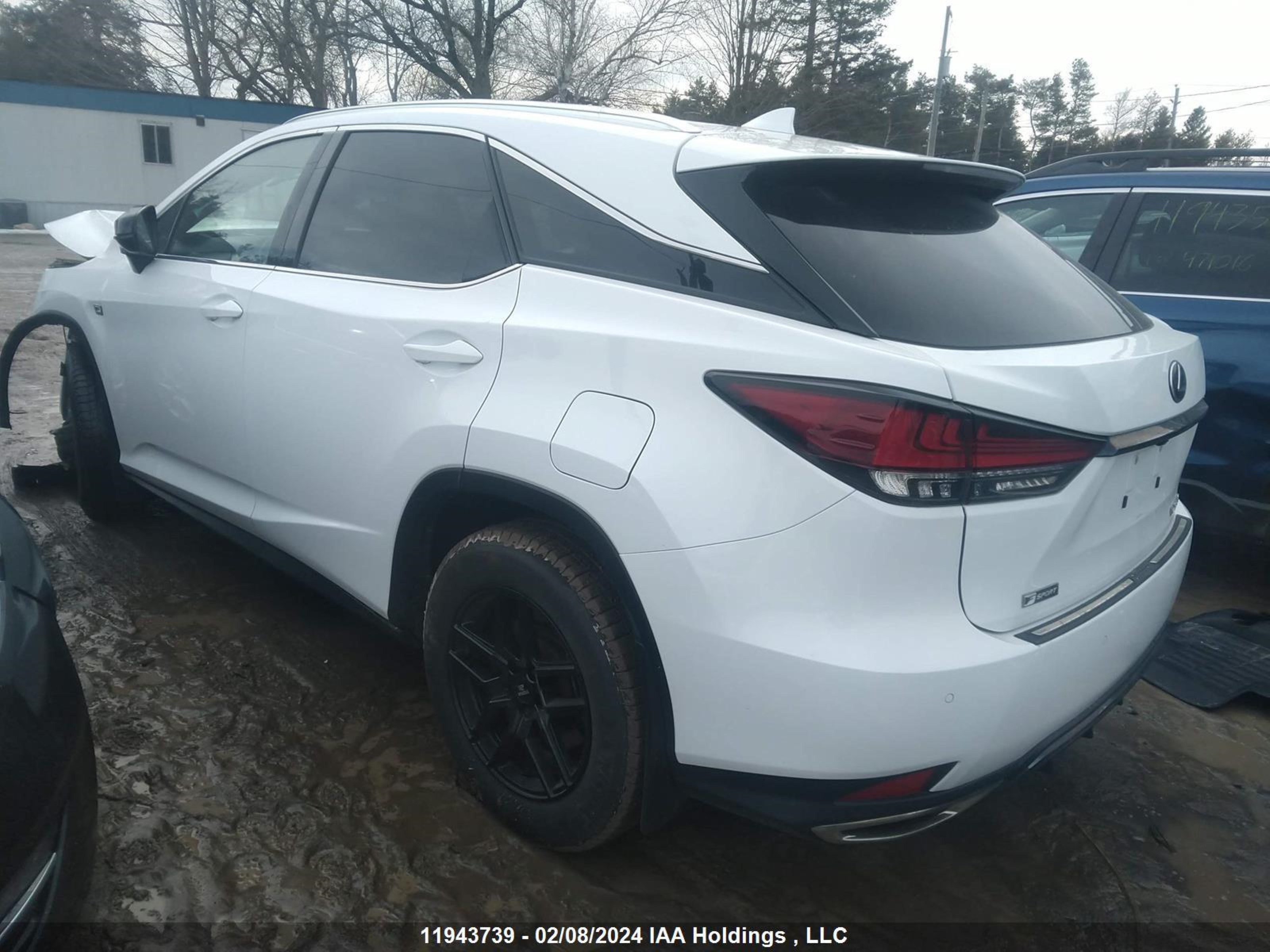 Photo 2 VIN: 2T2YZMDA3LC256111 - LEXUS RX 