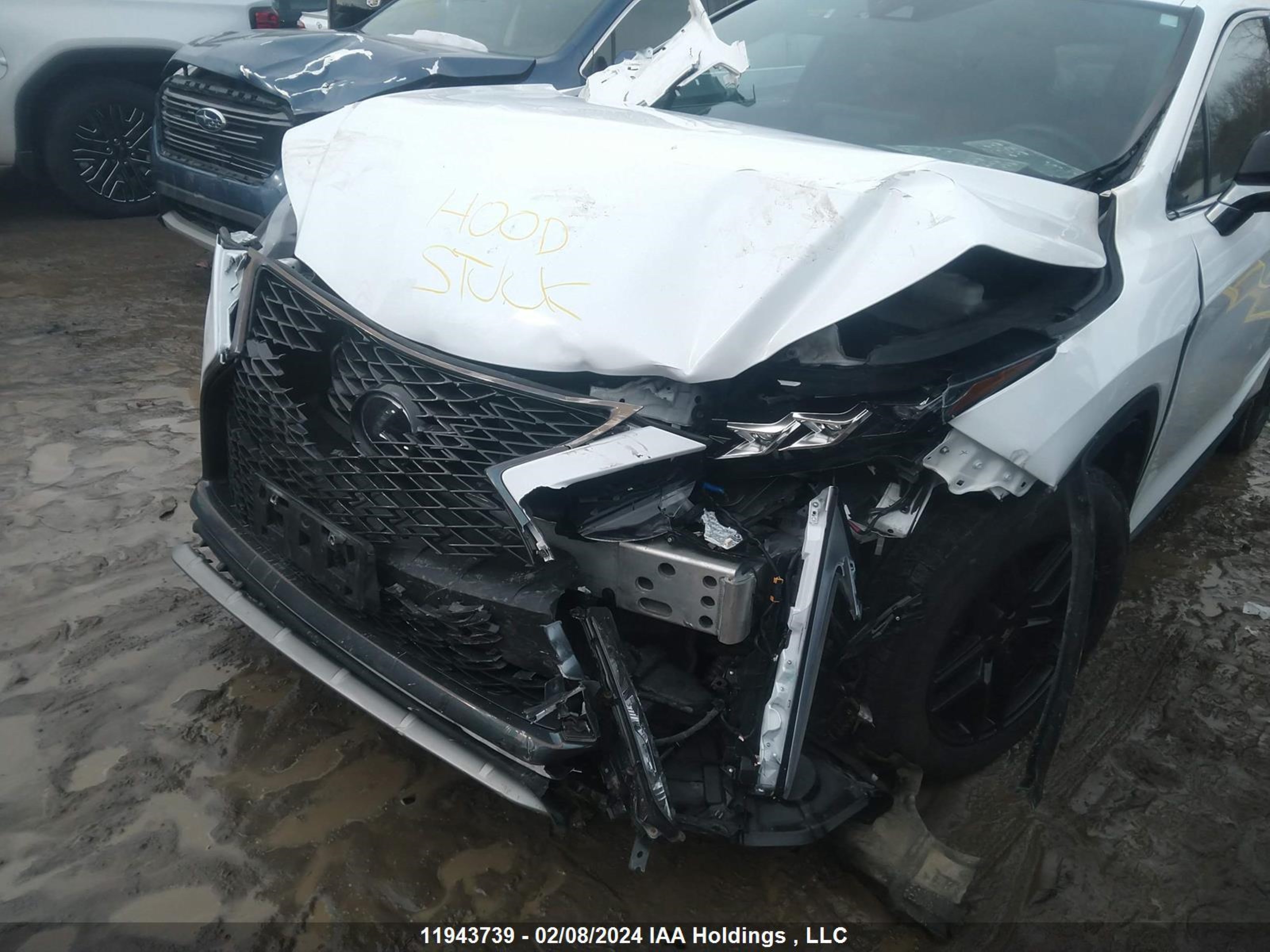 Photo 5 VIN: 2T2YZMDA3LC256111 - LEXUS RX 