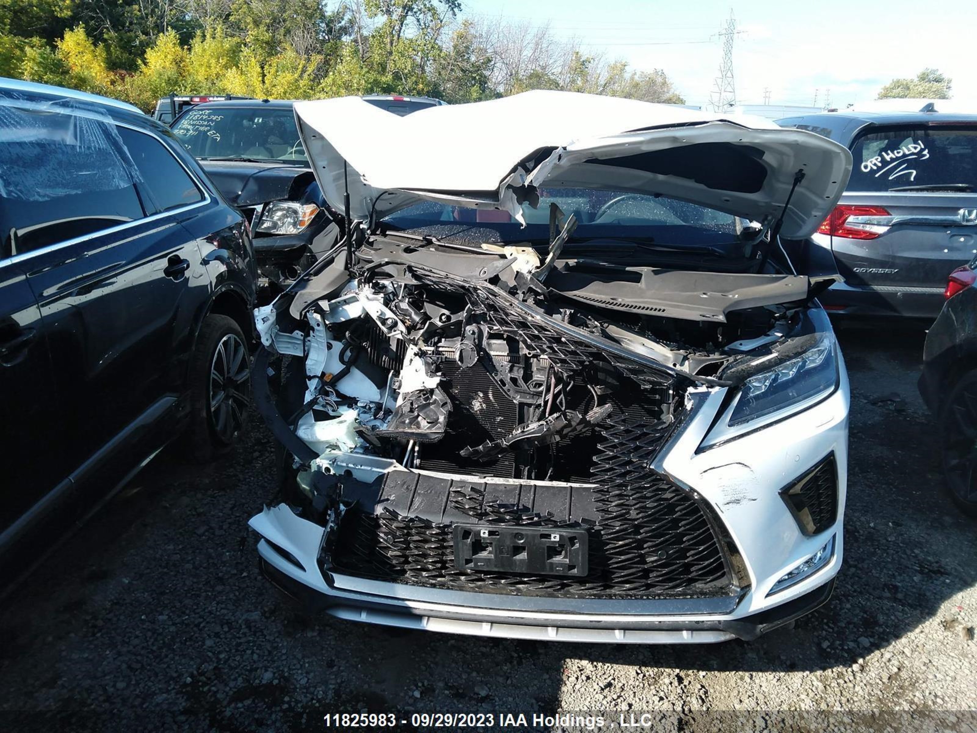 Photo 5 VIN: 2T2YZMDA4NC325486 - LEXUS RX 