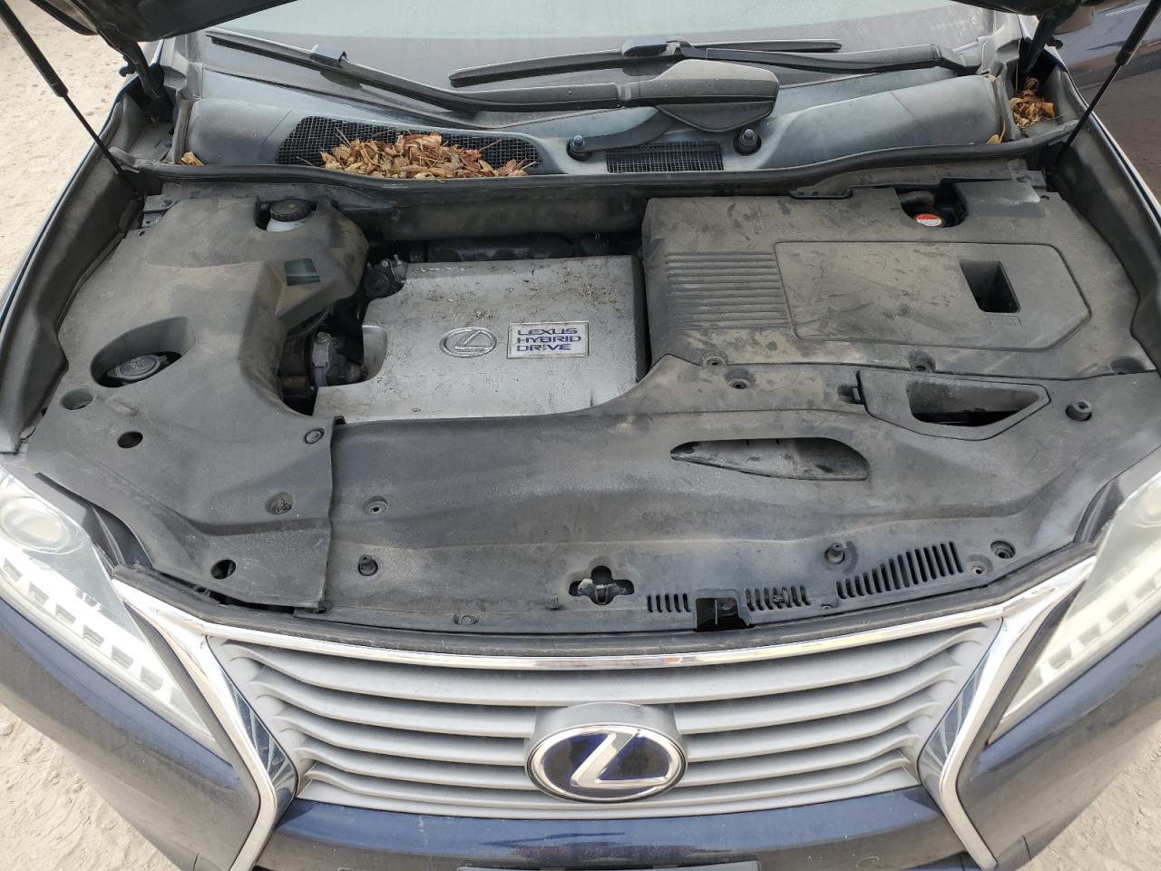 Photo 10 VIN: 2T2ZB1BA0FC002564 - LEXUS RX 