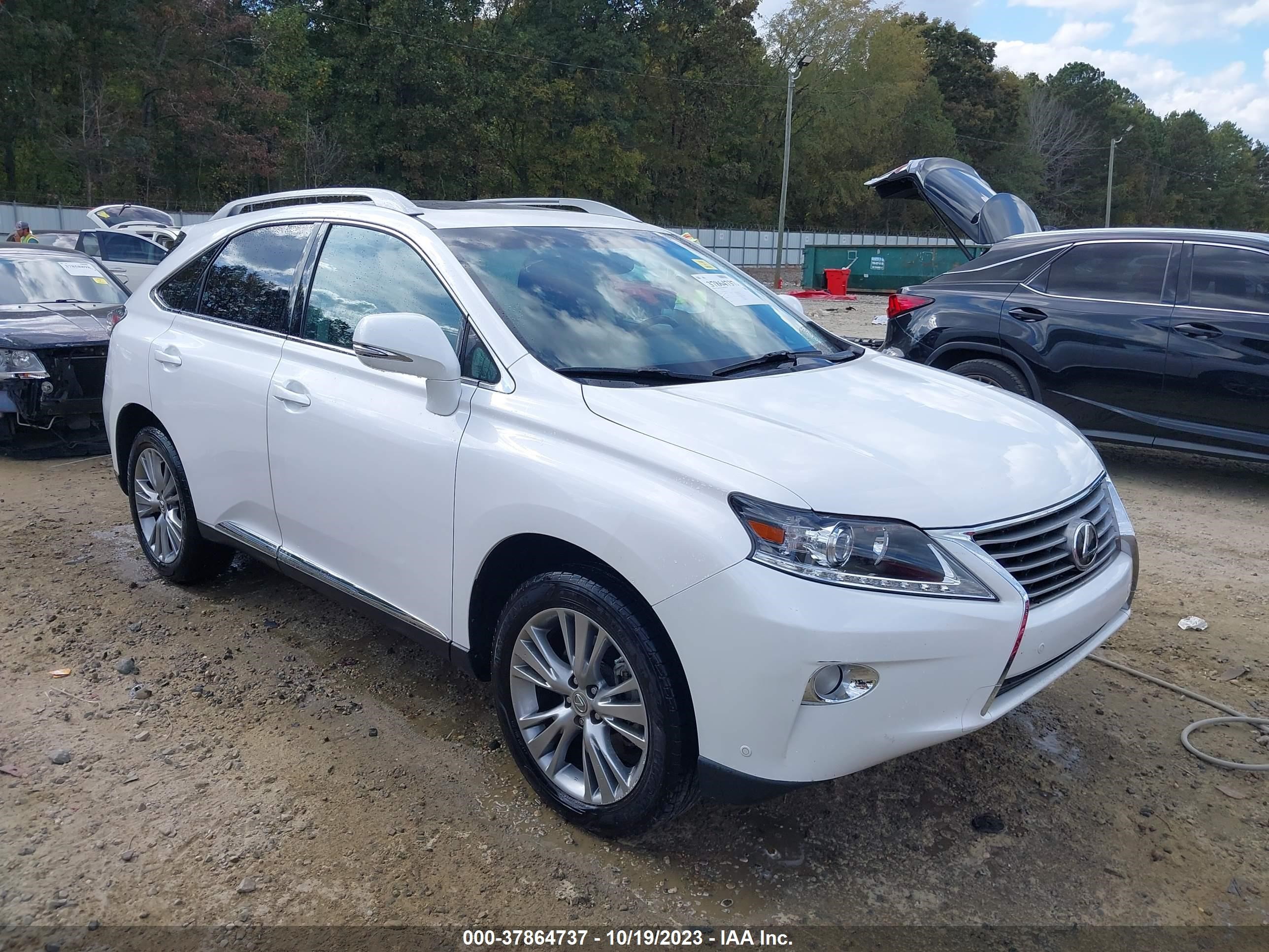 Photo 0 VIN: 2T2ZK1BA3DC124817 - LEXUS RX 