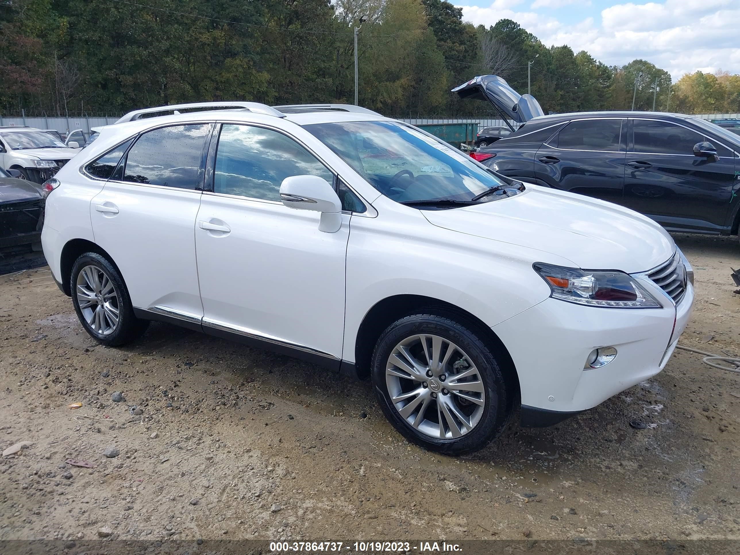 Photo 13 VIN: 2T2ZK1BA3DC124817 - LEXUS RX 