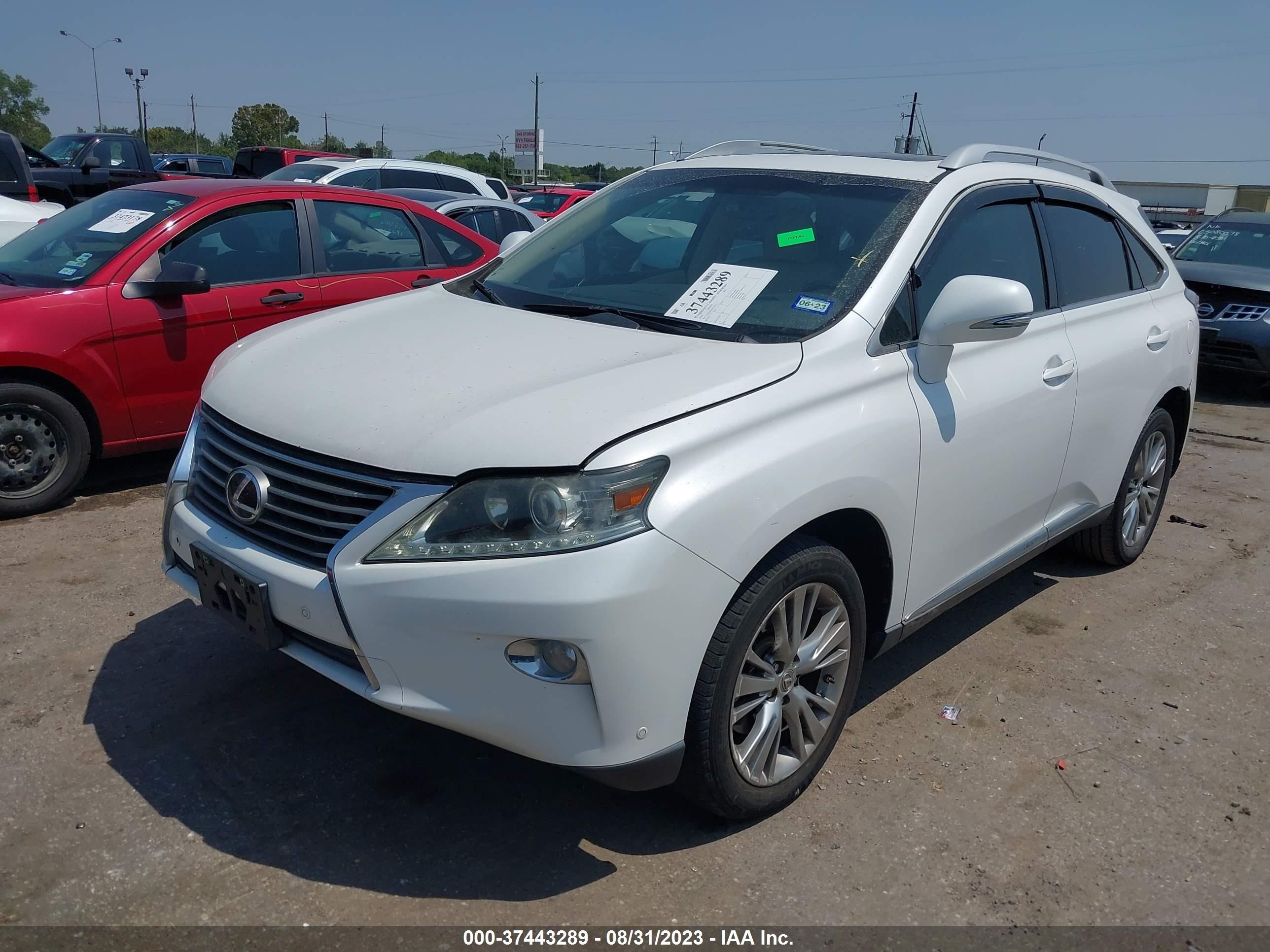 Photo 1 VIN: 2T2ZK1BA3EC133213 - LEXUS RX 