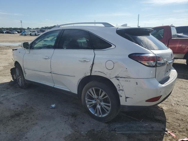 Photo 1 VIN: 2T2ZK1BAXEC135265 - LEXUS RX350 