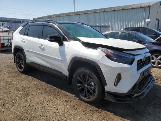 Photo 3 VIN: 2T35WRFV3RW216719 - TOYOTA RAV4 