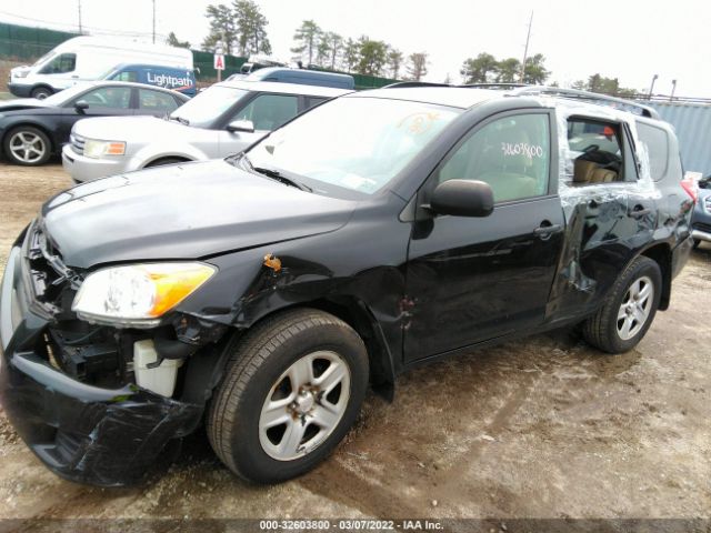 Photo 5 VIN: 2T3BF4DV0AW061754 - TOYOTA RAV4 