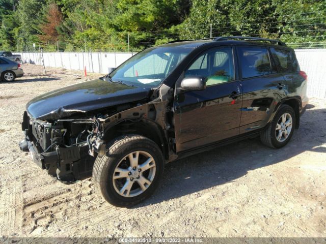 Photo 1 VIN: 2T3BF4DV0BW126698 - TOYOTA RAV4 