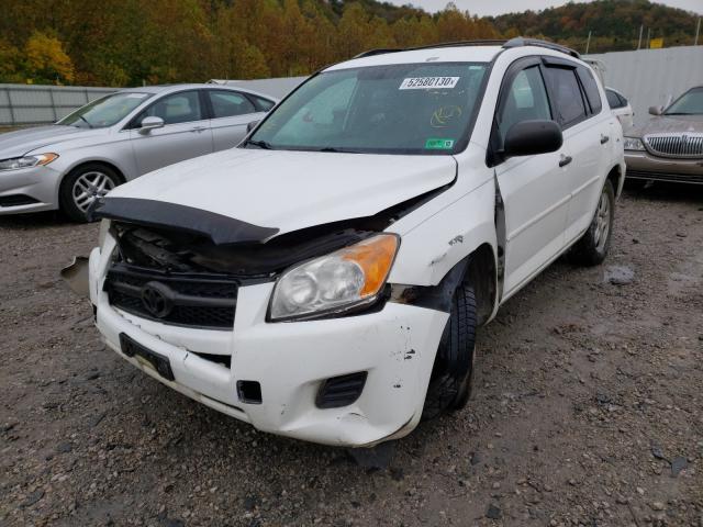 Photo 1 VIN: 2T3BF4DV5BW087851 - TOYOTA RAV4 